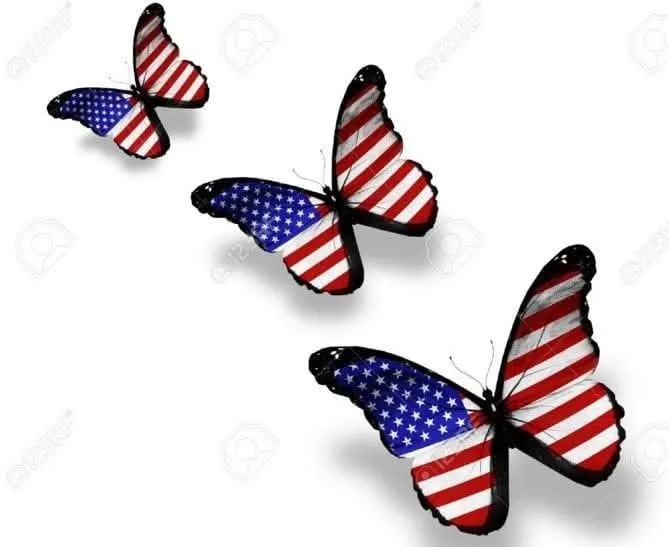 43efc67e-5e3f-4021-a897-09a09e908d0c