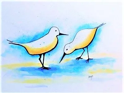 Product image for Sandpipers