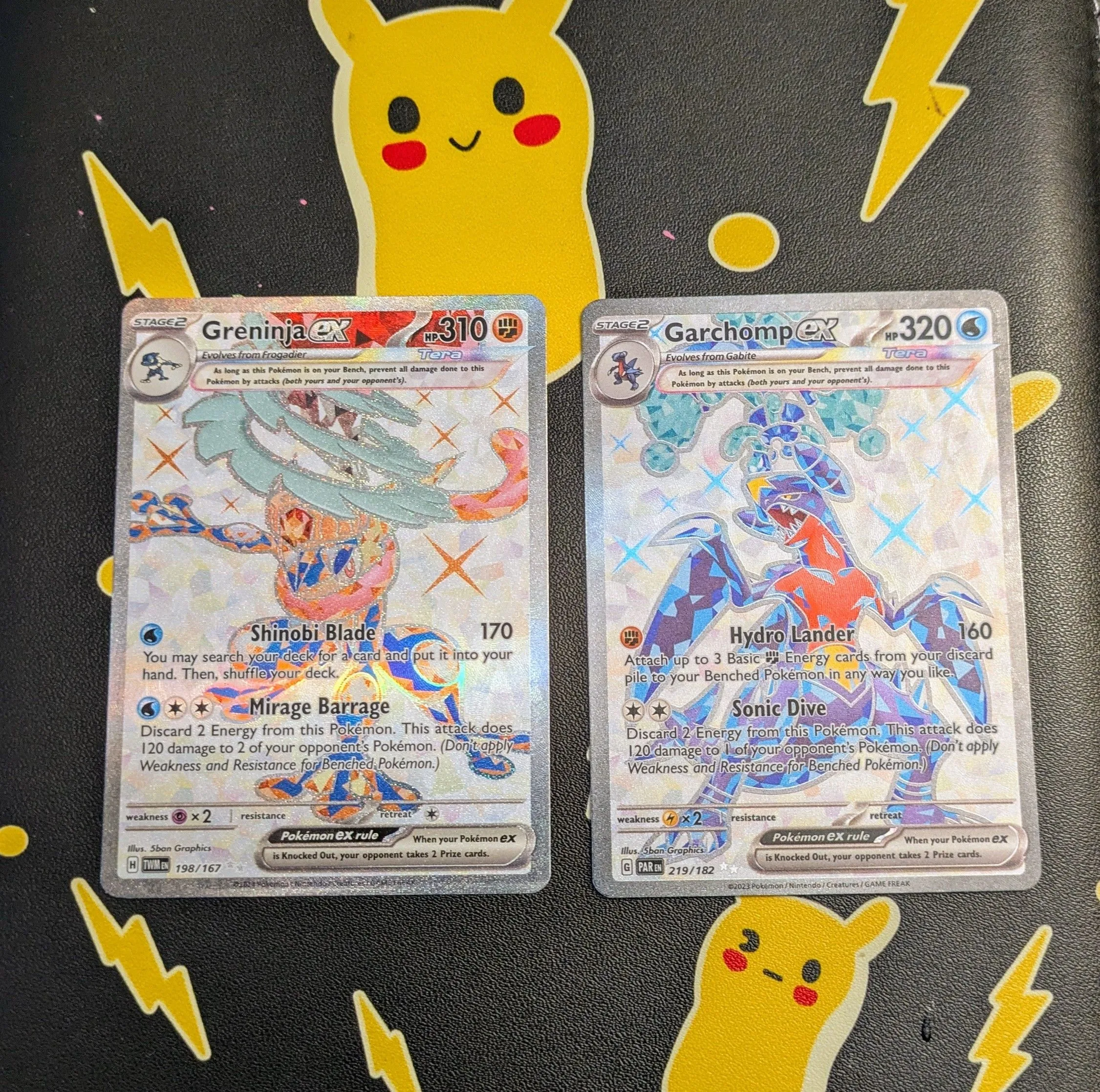 Product image for Pokemon - Greninja EX #198 & Garchomp EX #219