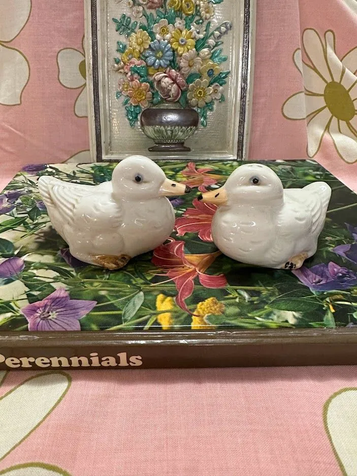 Product image for Duck S&P Shaker Set
