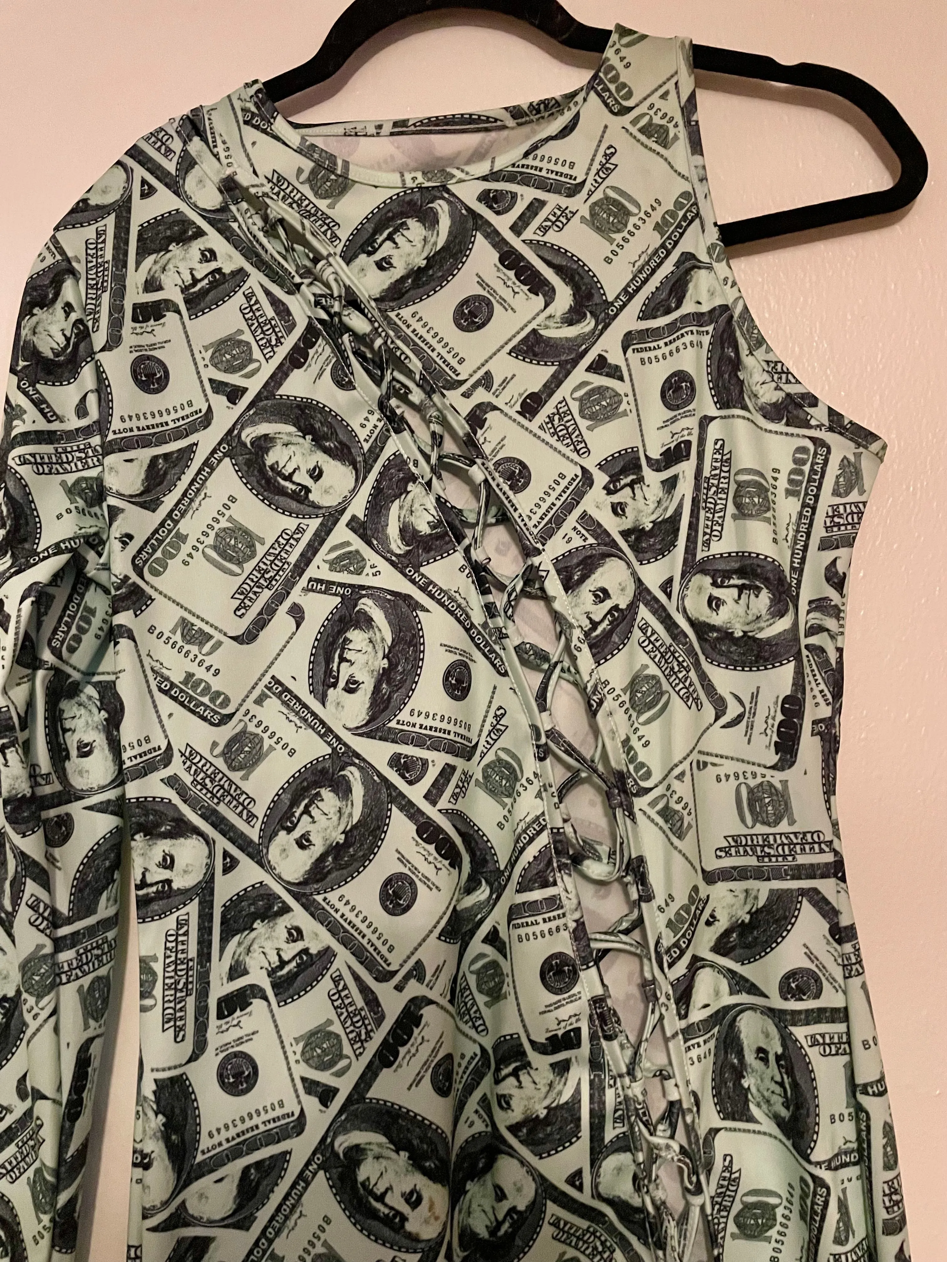 Product image for $100 Dollar dress