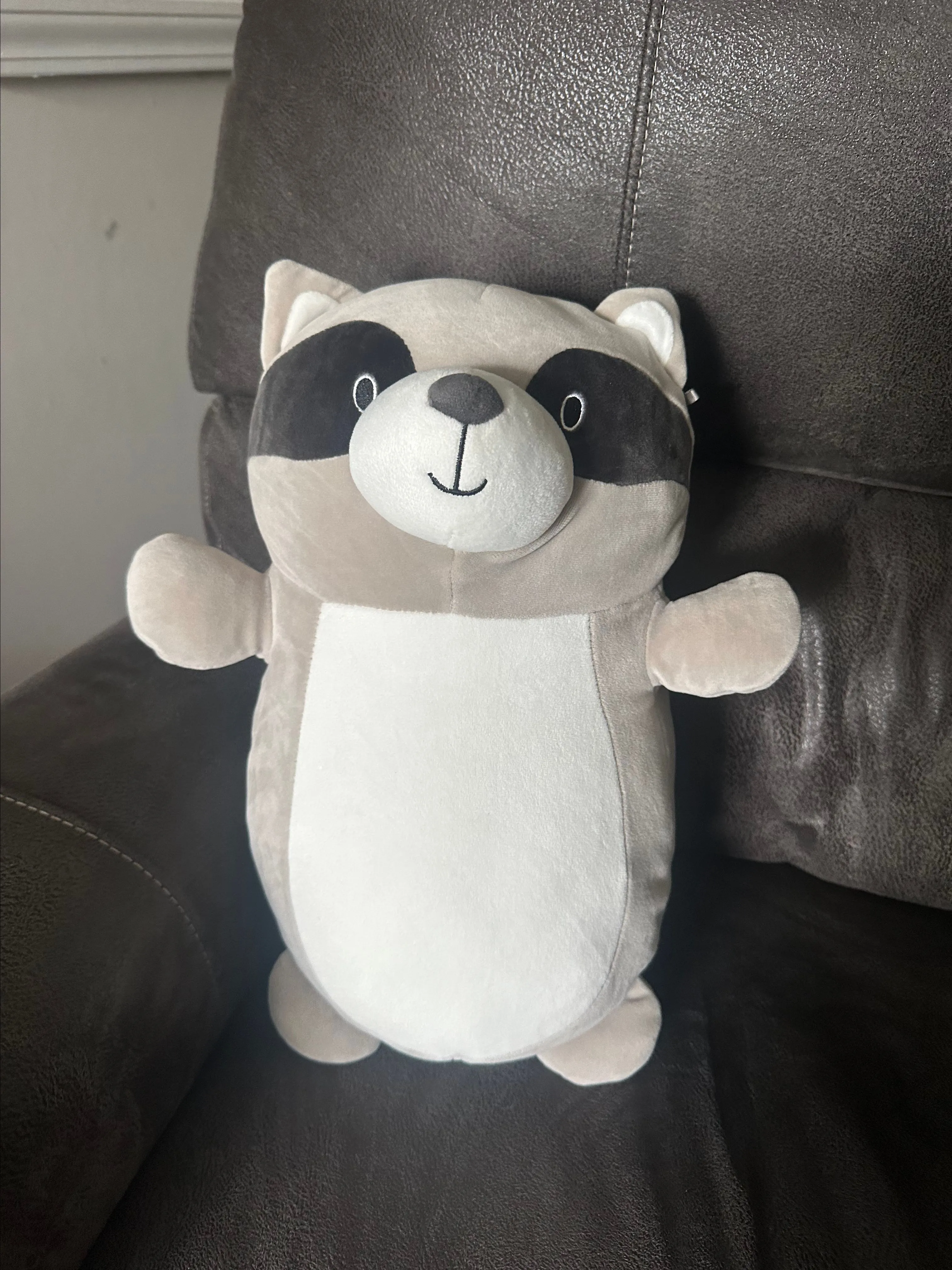 Product image for Squishmallows Hug Mees Great Wolf Lodge Gray Raccoon 15" Plush Super Clean