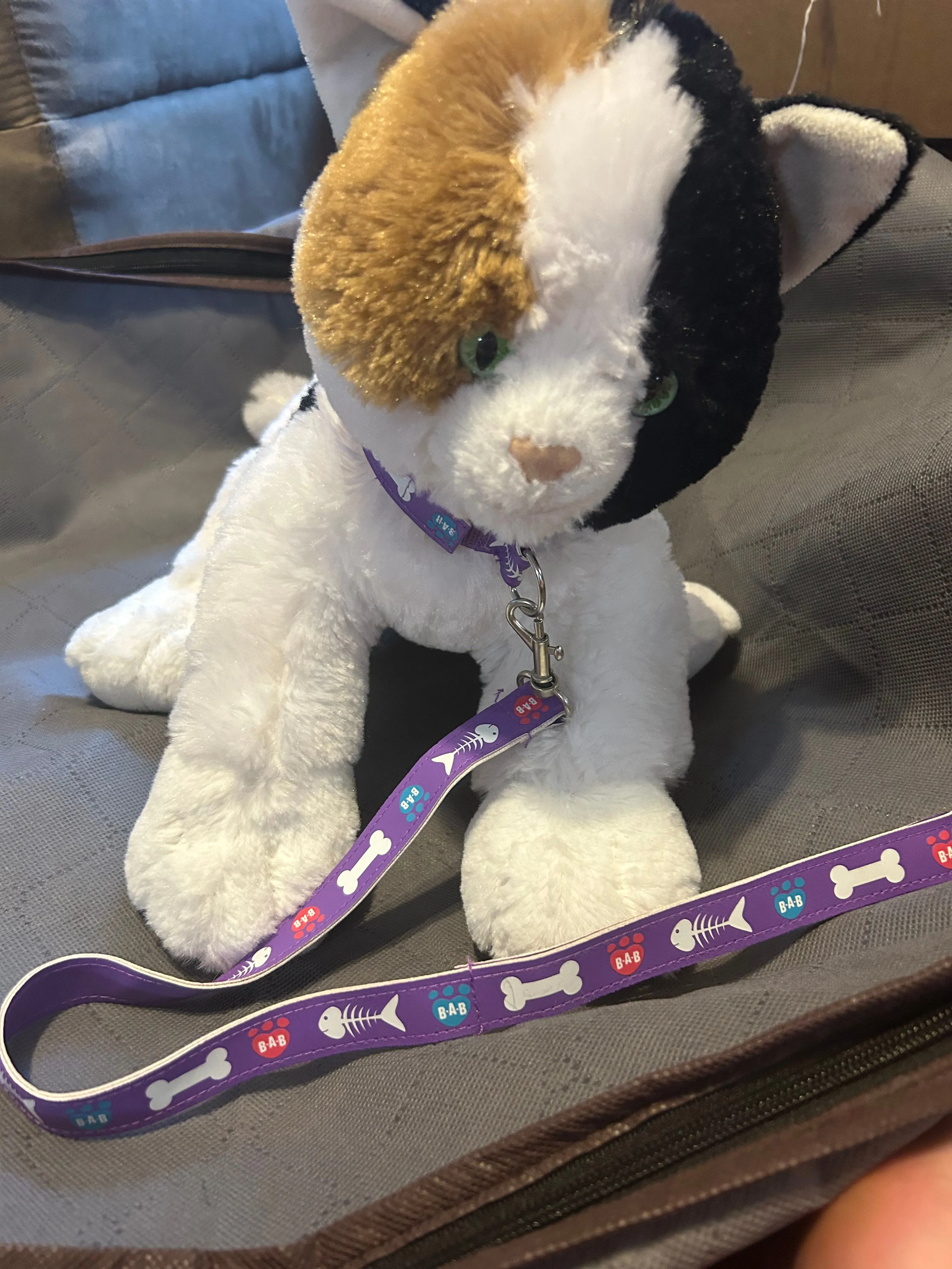 Product image for Cat BAB