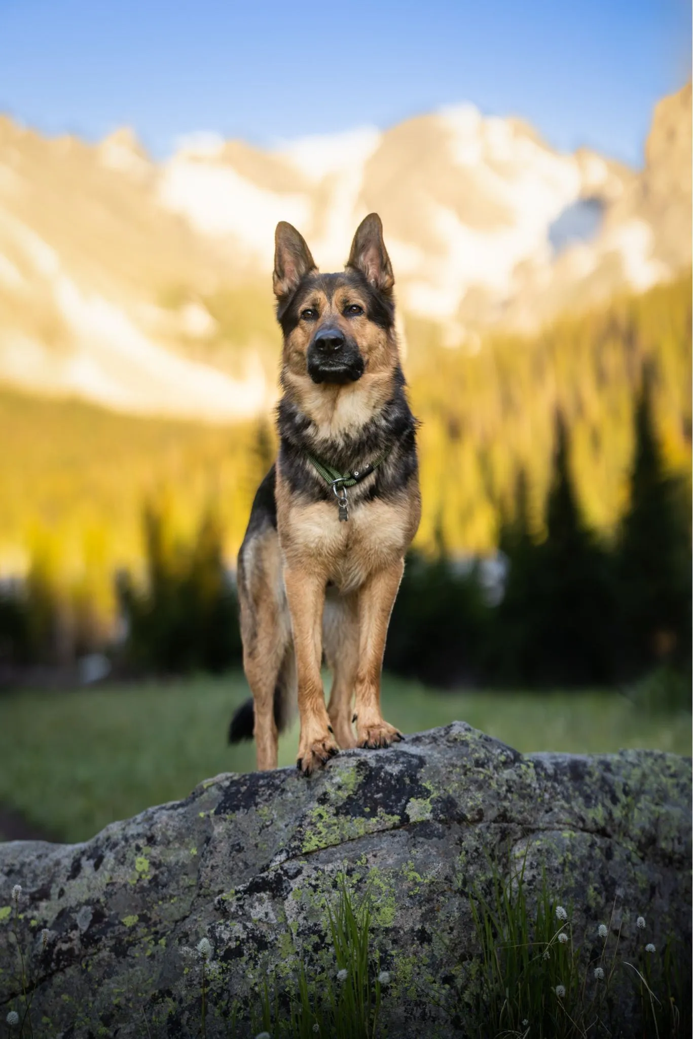 46914cd8-e86e-46c8-baec-256bcaa3dd6d