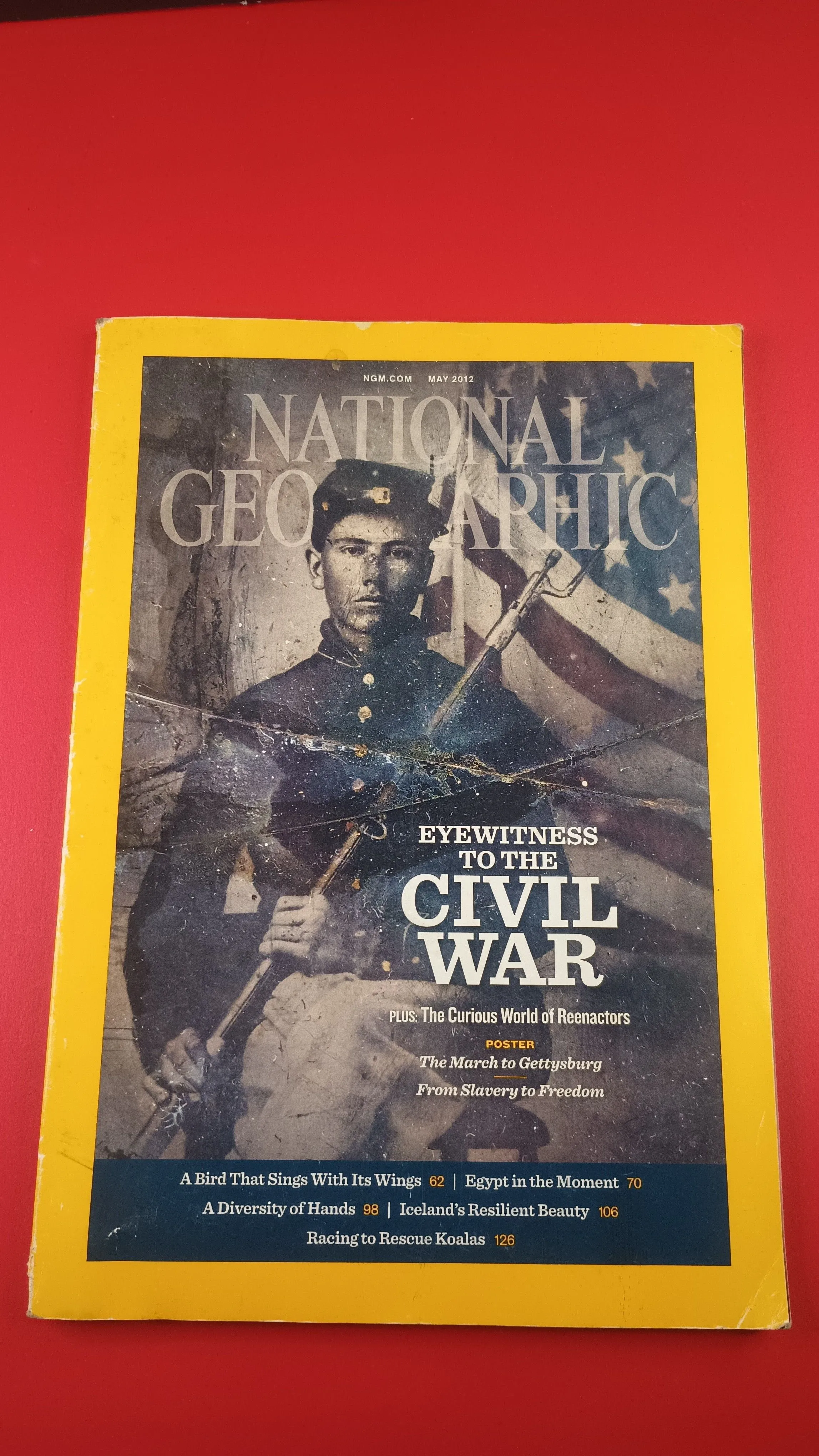 Product image for National Geographic vol. 221