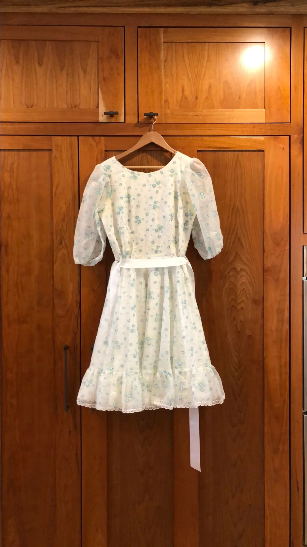 Product image for 29. Blue rose dress chest 20 waist 15, length 38