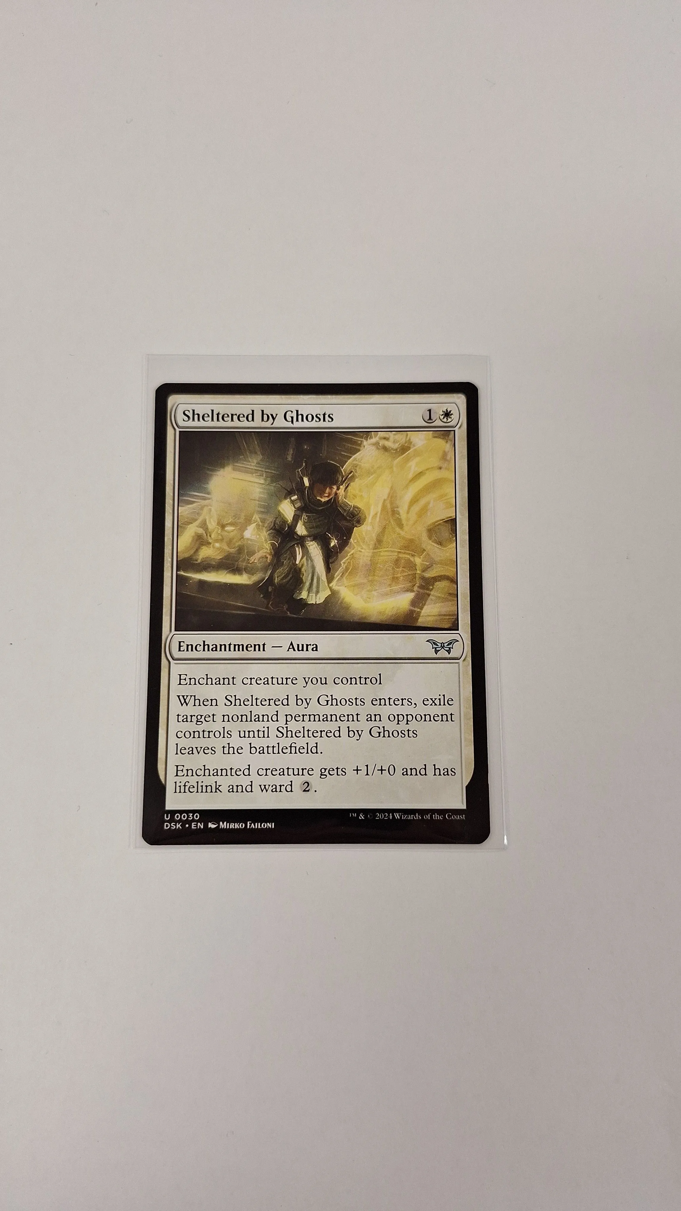 Product image for Sheltered by Ghosts