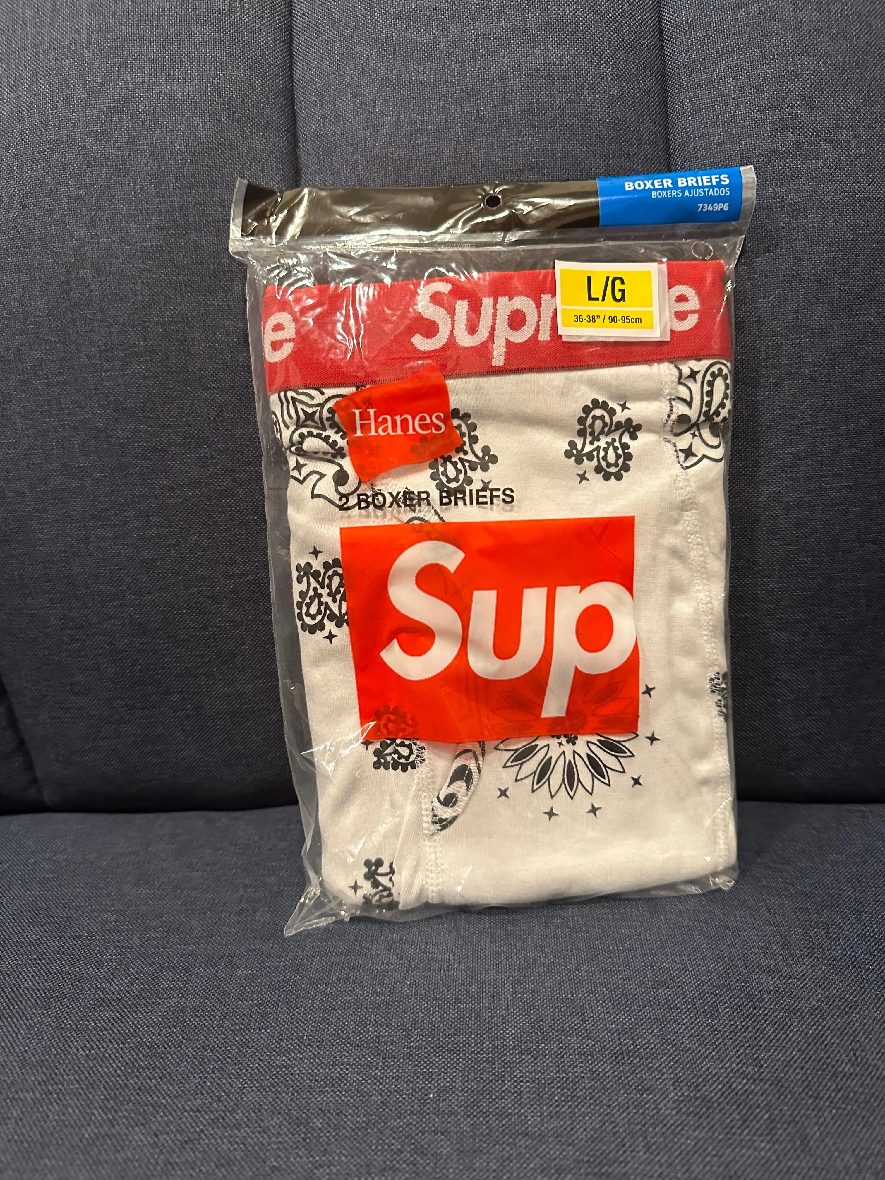 Product image for Supreme bandana briefs (white)