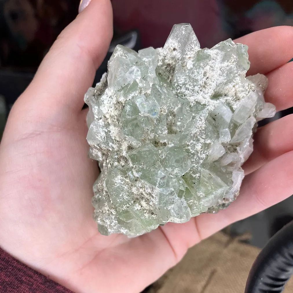Product image for Green Apophyllite Cluster