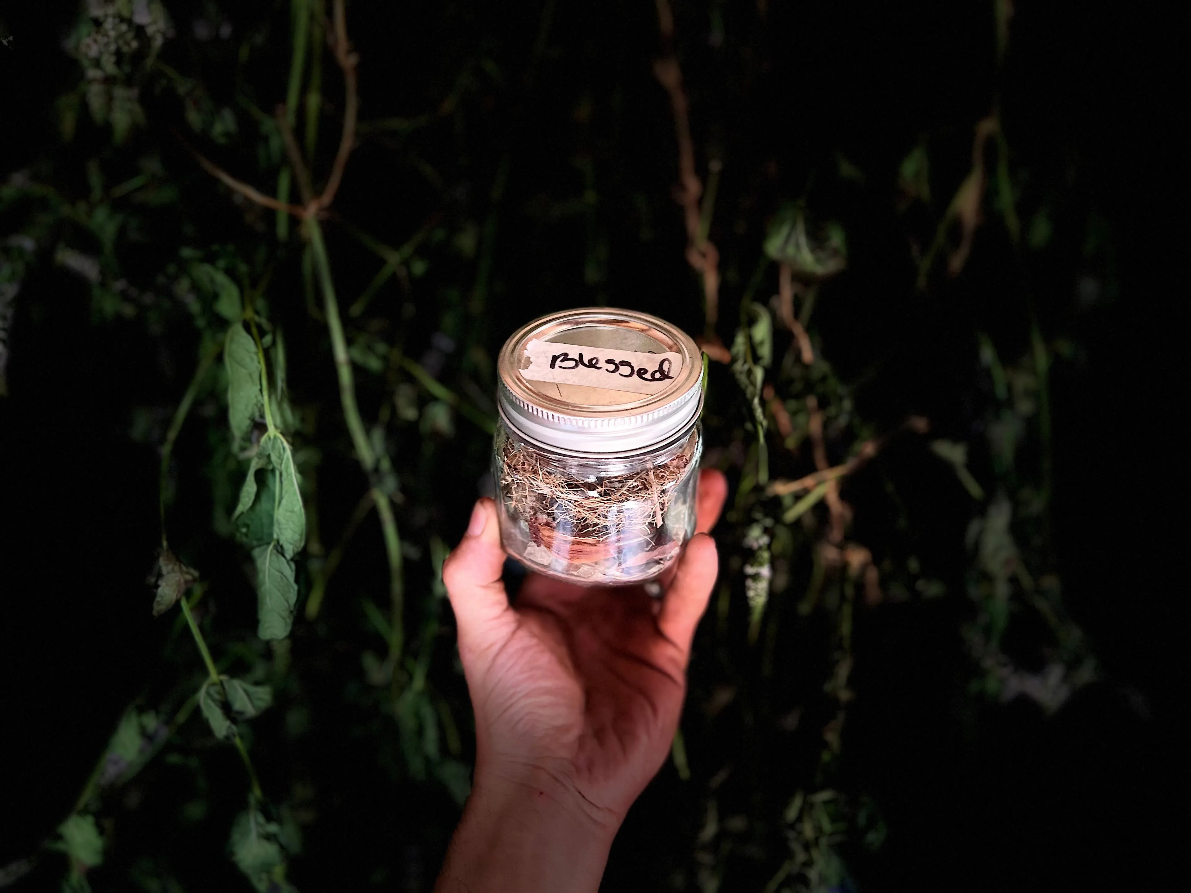 Product image for Crow Jar (Blessed)