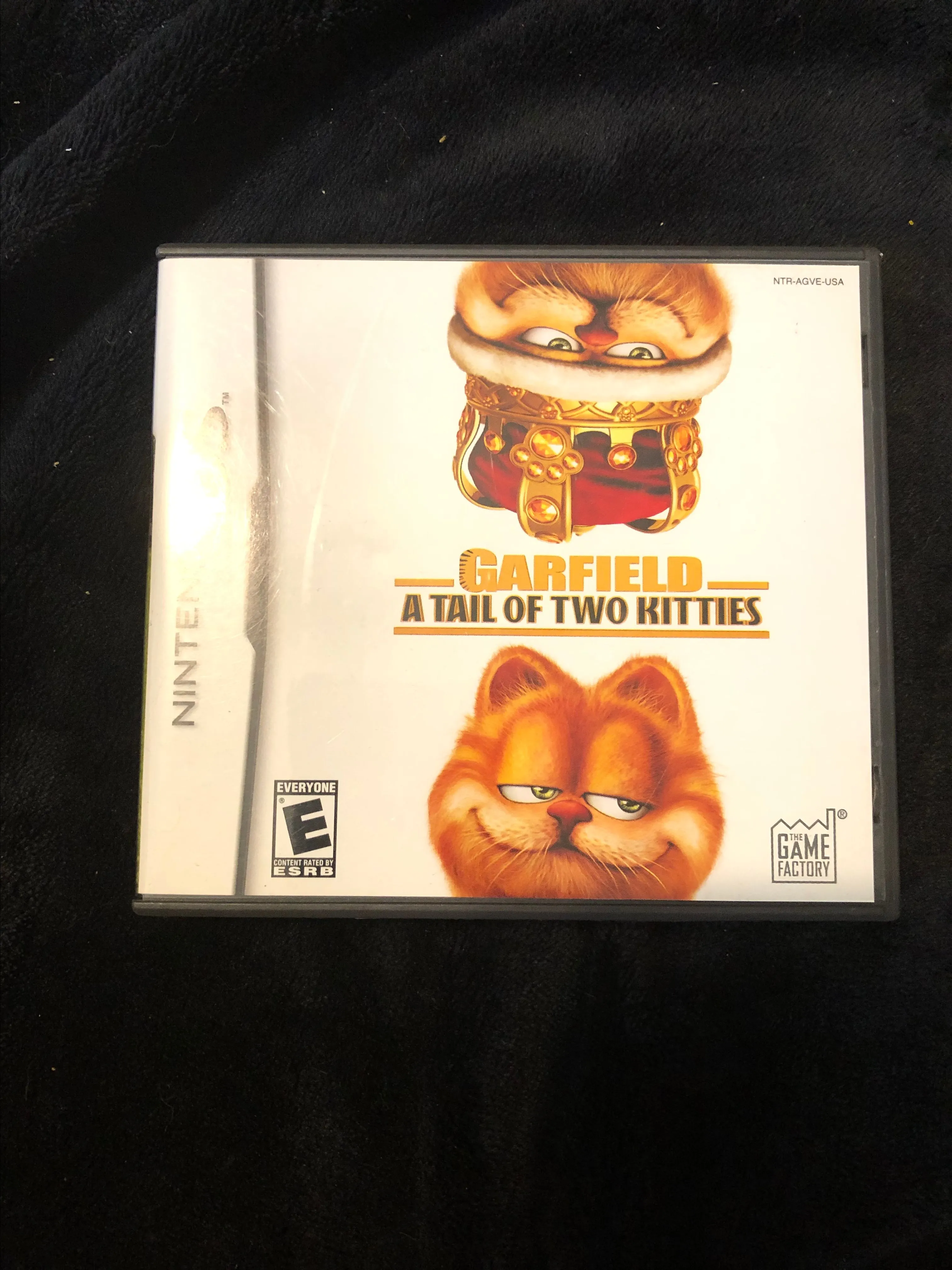 Product image for DS Garfield A Tail of Two Kitties