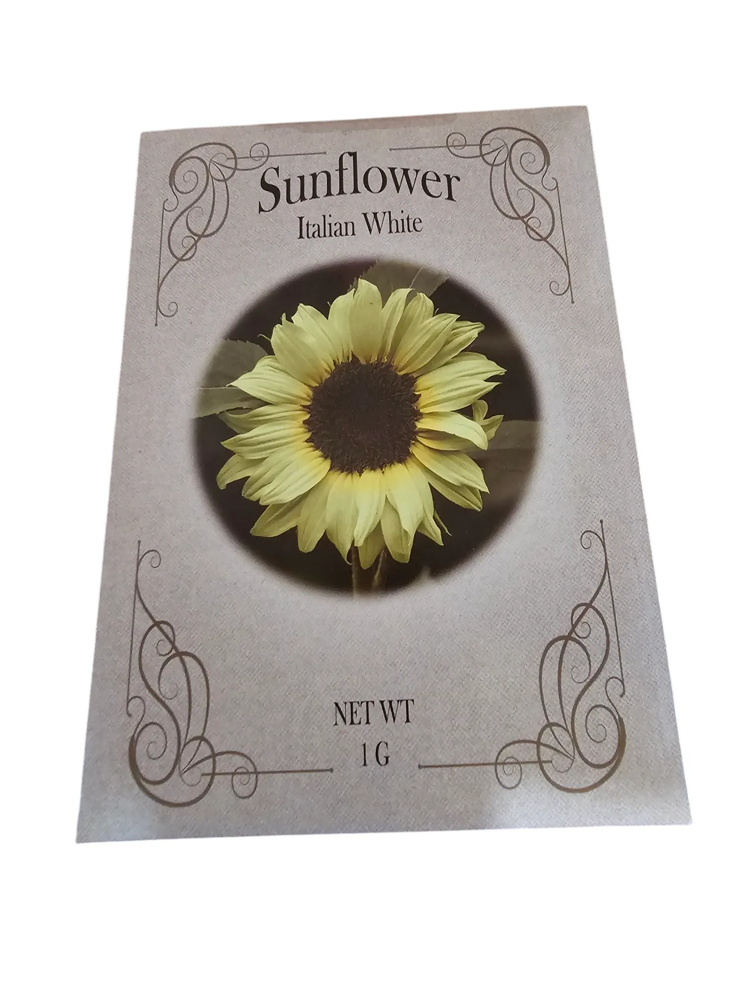 Product image for AA - Sunflower Italian White Flower Seed Packet
