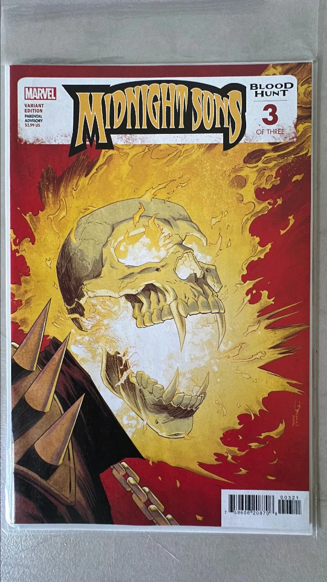 Product image for Midnight Sons #3
