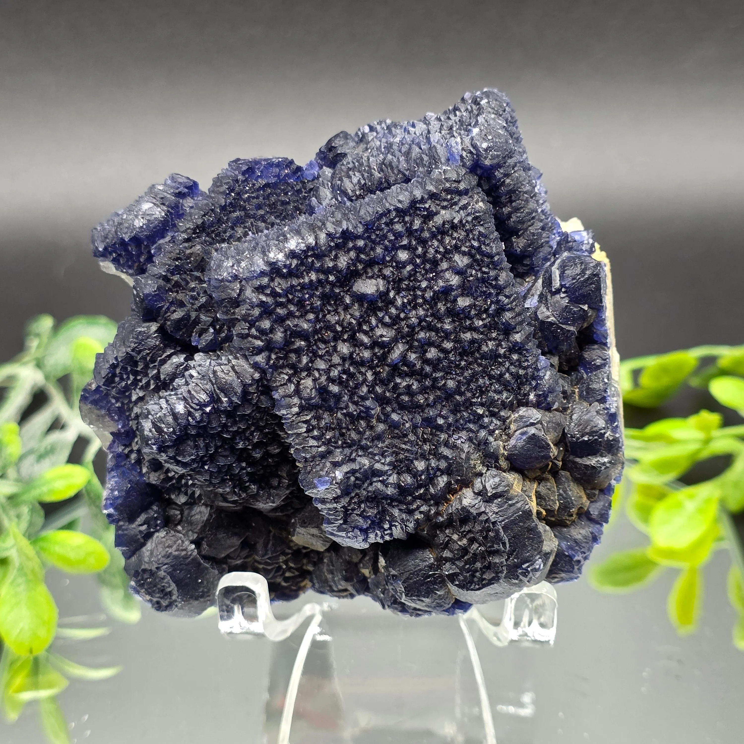 Product image for #653 Inner Mongolian Blueberry Fluorite 	