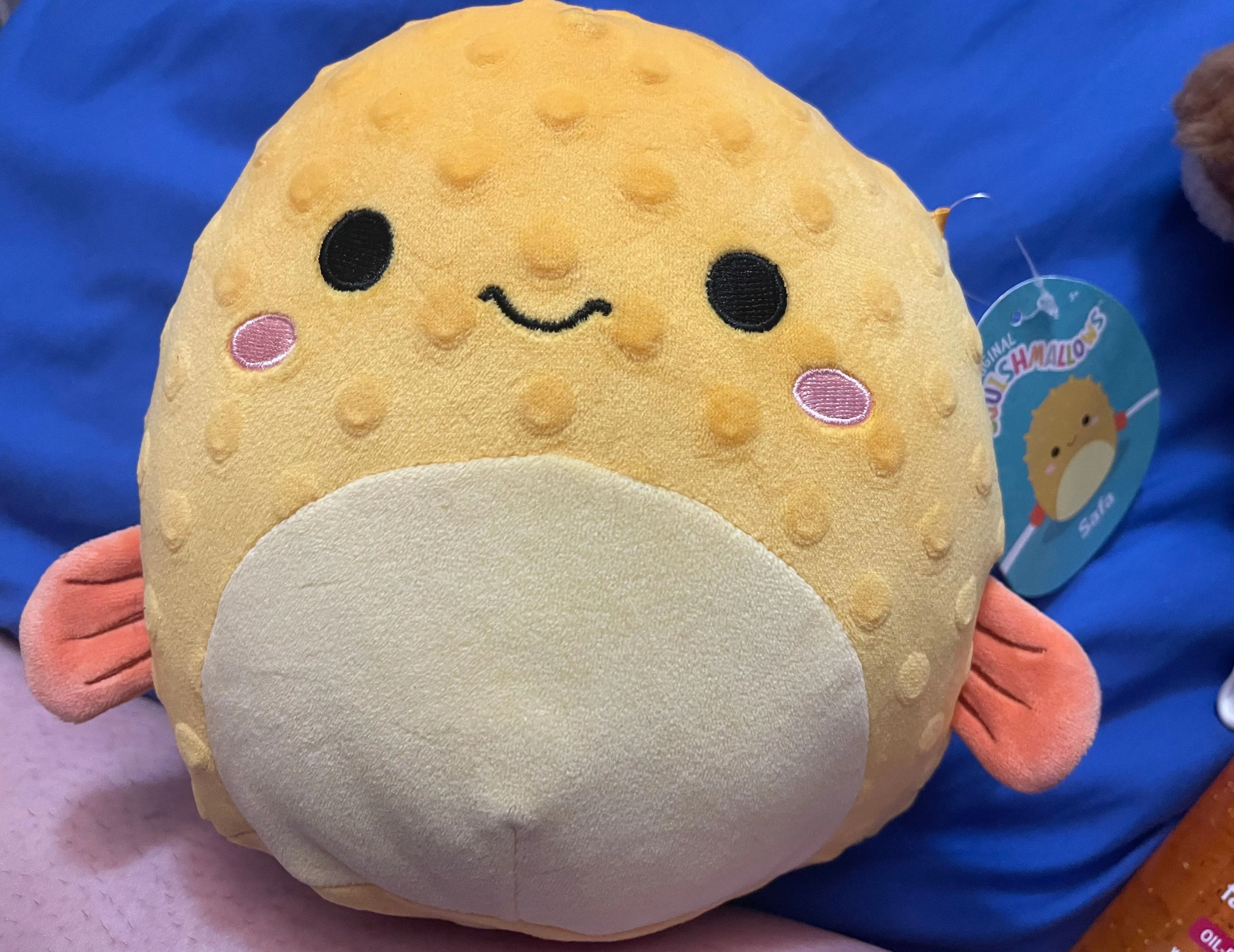 Product image for Safa Squish