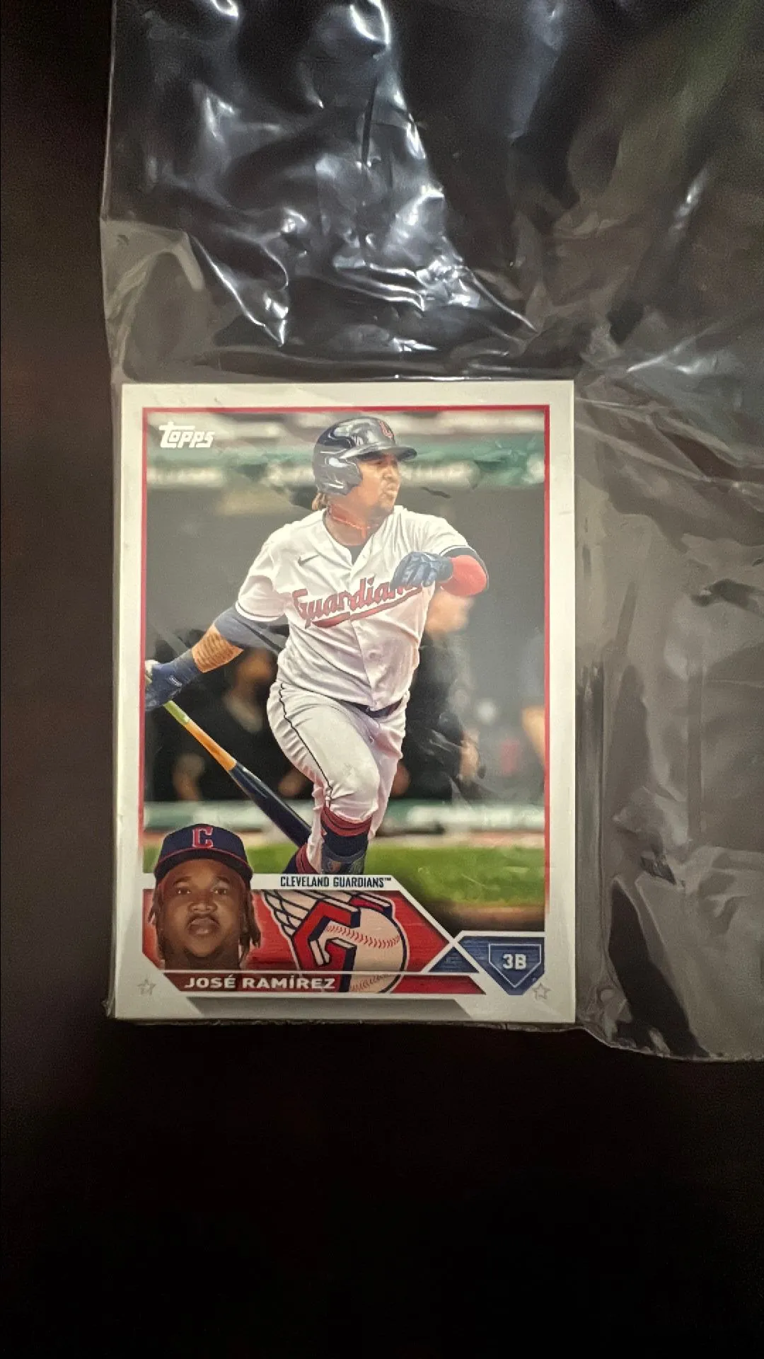 Product image for TEAM PACK GUARDIANS
