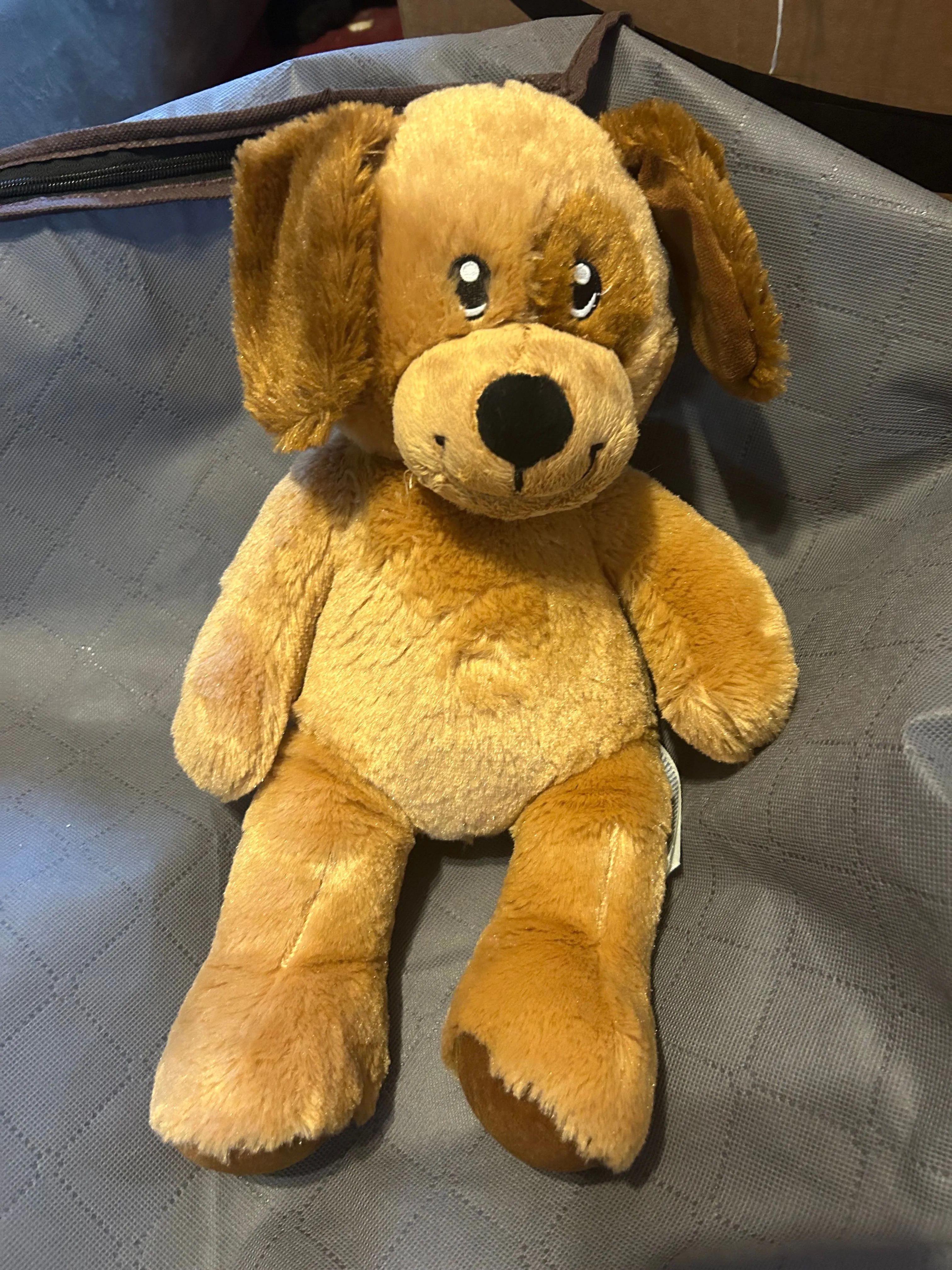 Product image for Brown dog w/spot BAB