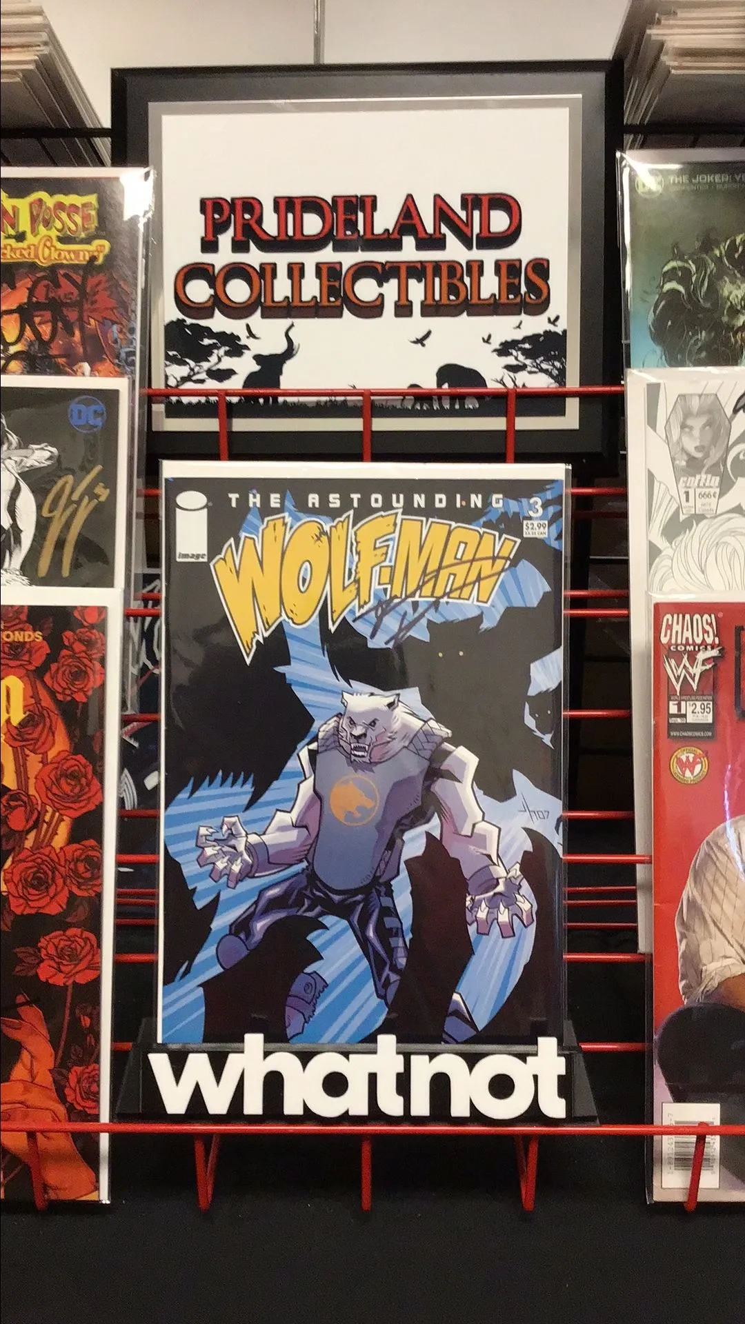 Product image for The Astounding Wolfman #3 Signed