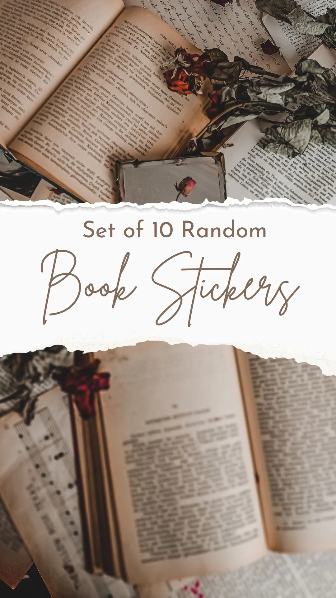 Product image for 10 Random Book Themed Stickers