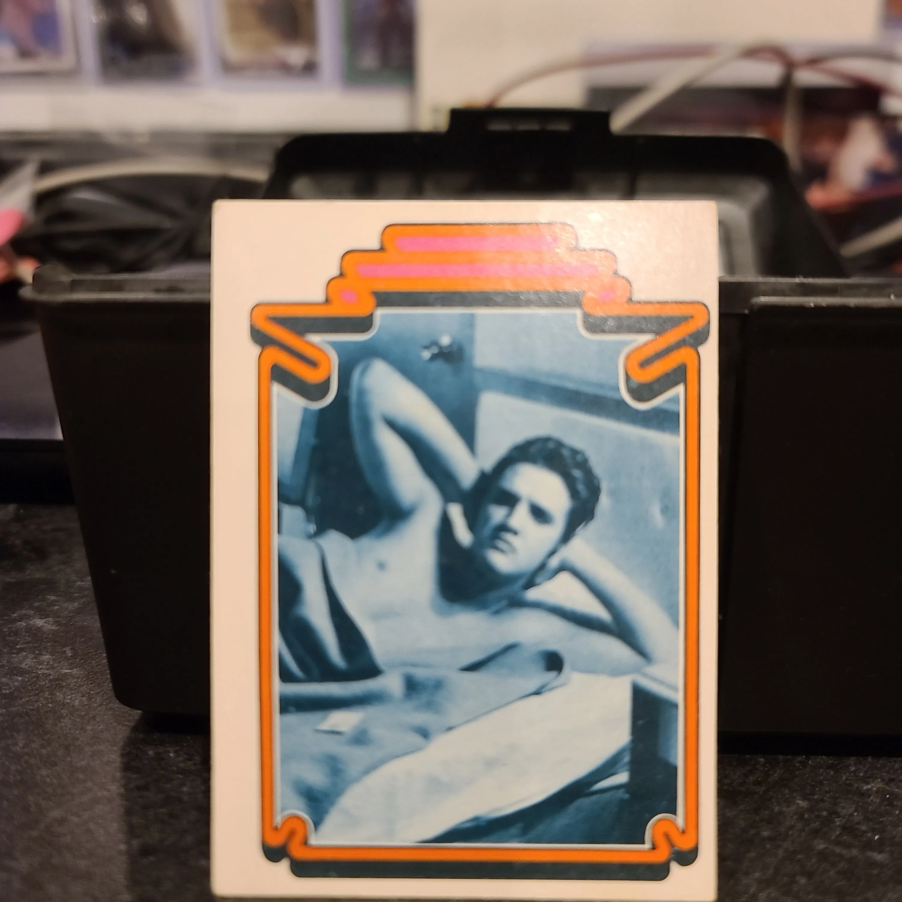 Product image for 1978 Elvis Trading Cards and Dirt From Graceland!