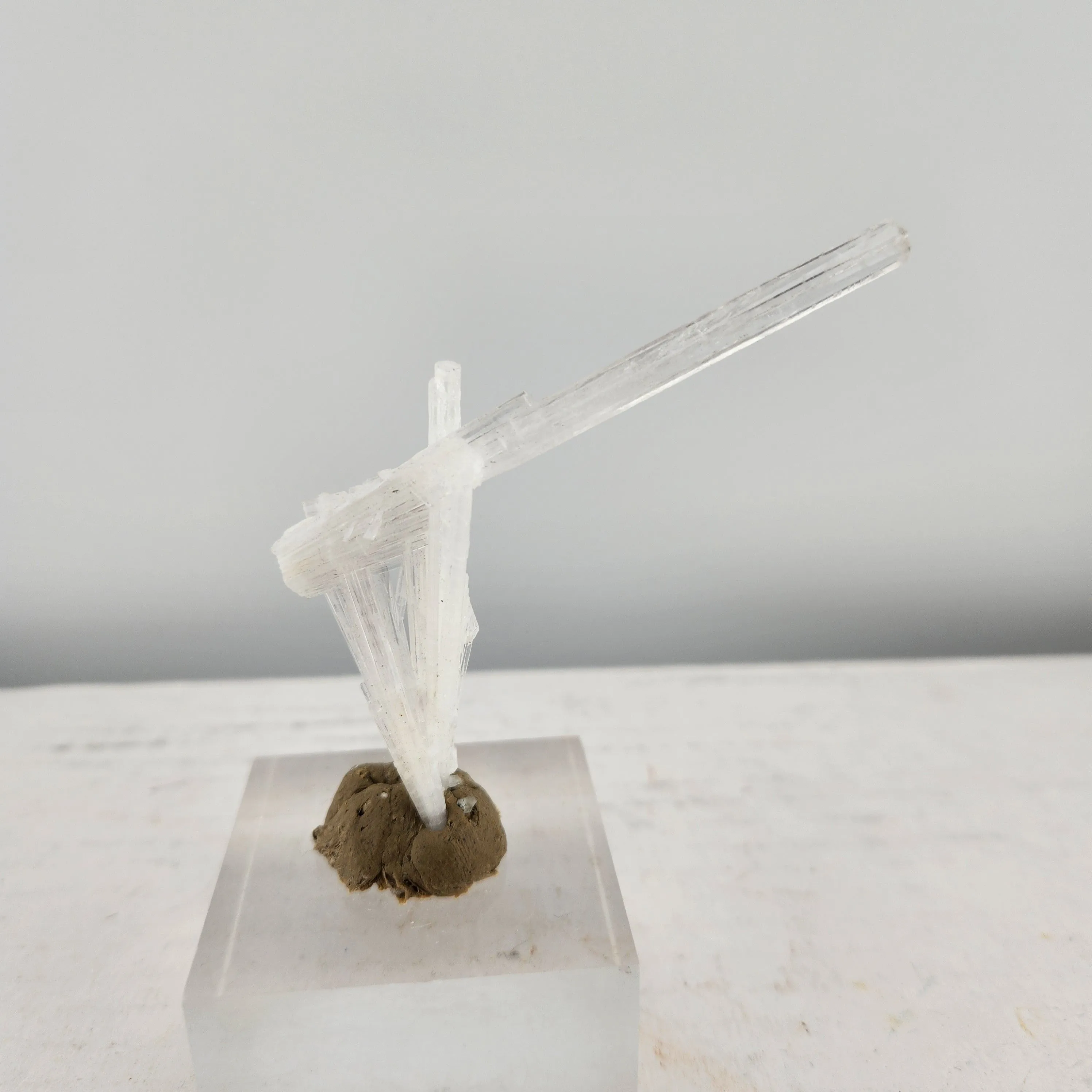 Product image for Scolecite