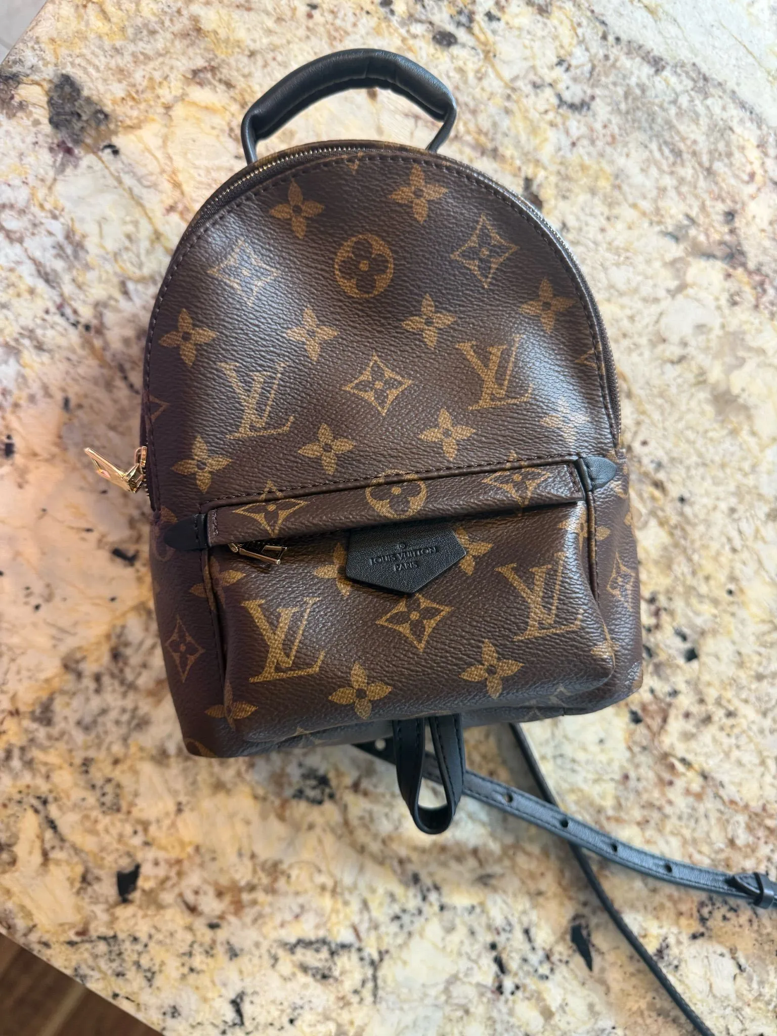 Louis Vuitton Palm Springs Mini Monogram Canvas Mini Backpack  Whatnot:  Shop, Sell, Connect