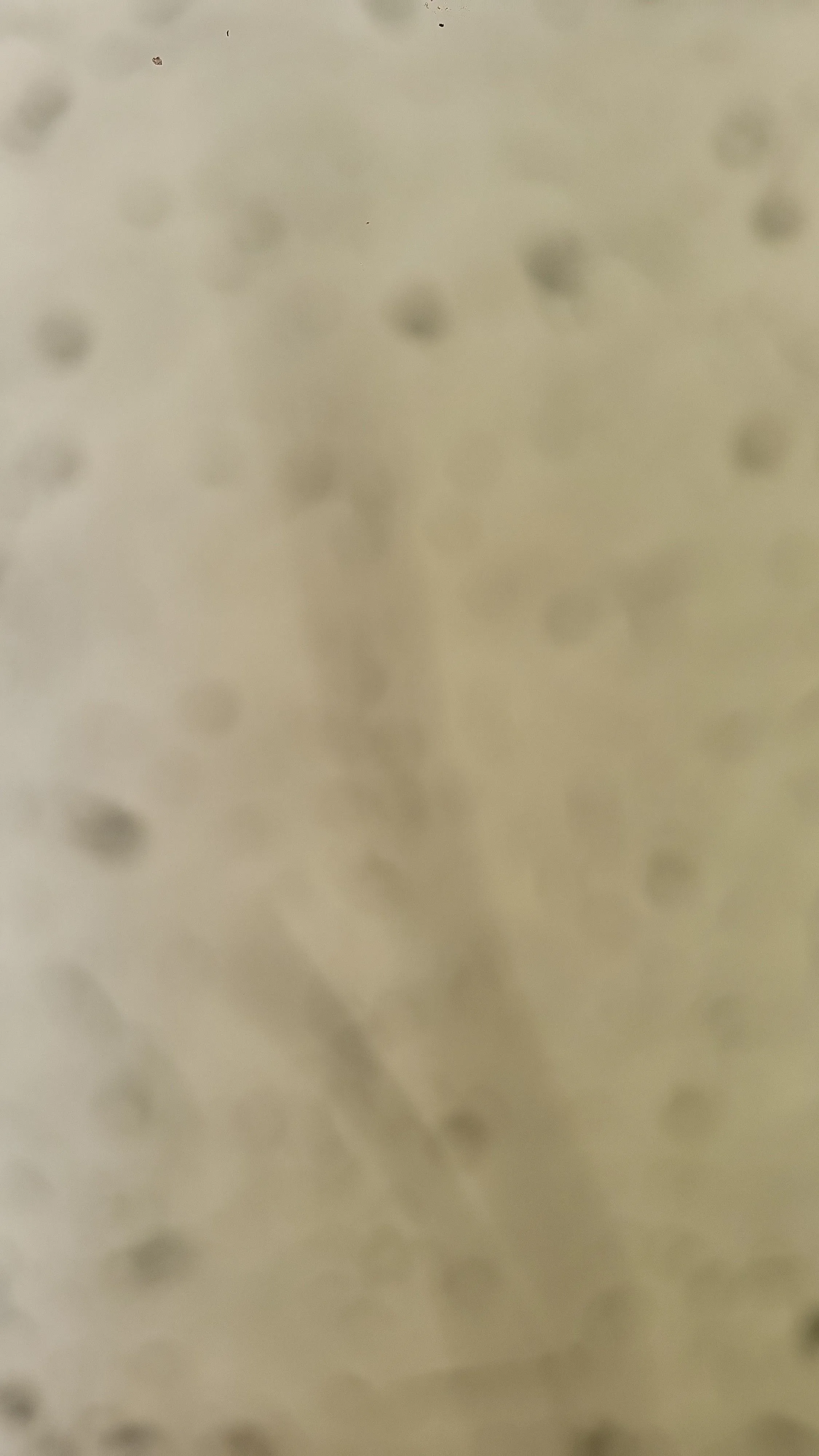 4e8d1050-2820-43b8-8451-e05207b10bdc