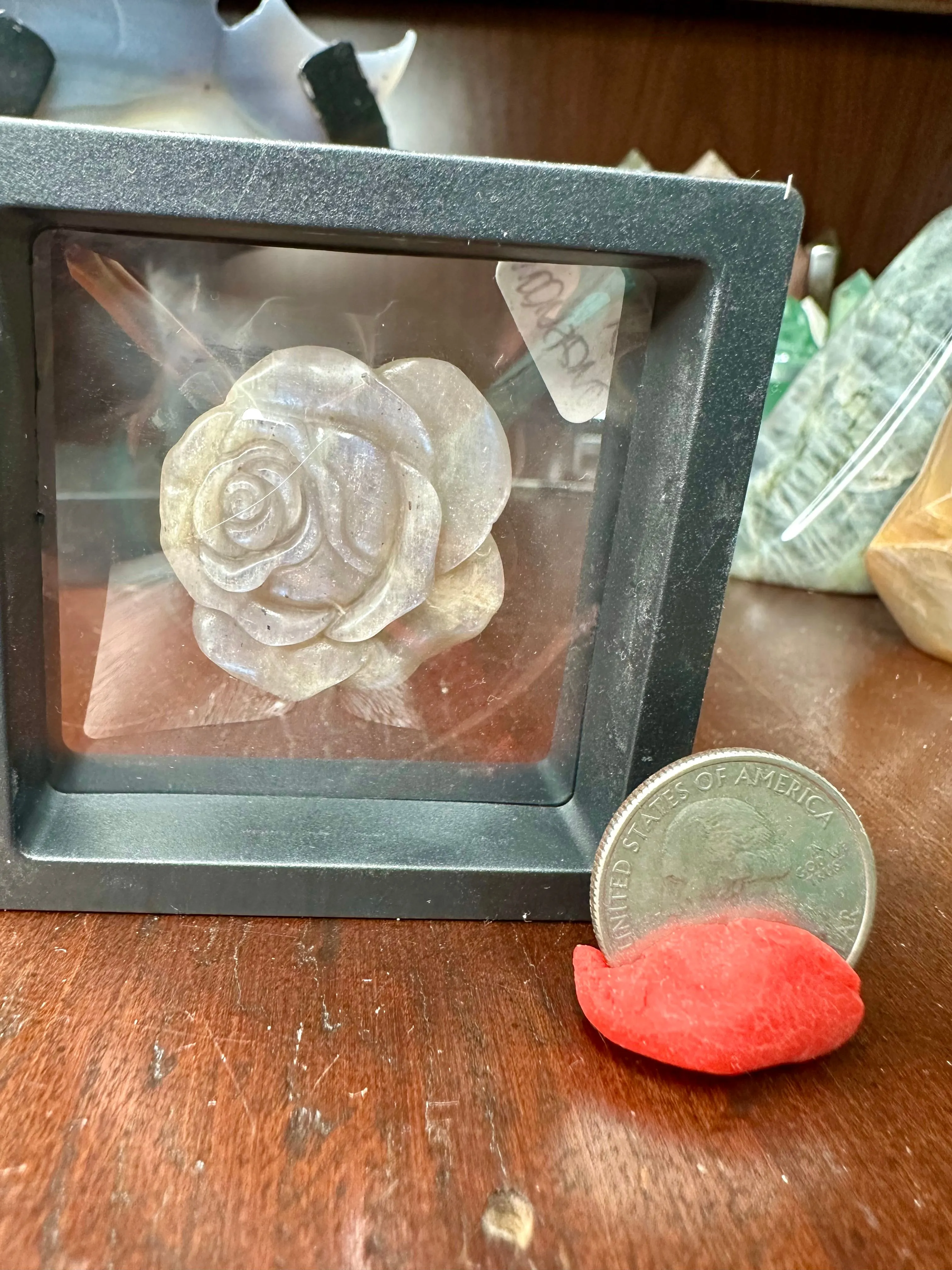 Product image for Moonstone rose
