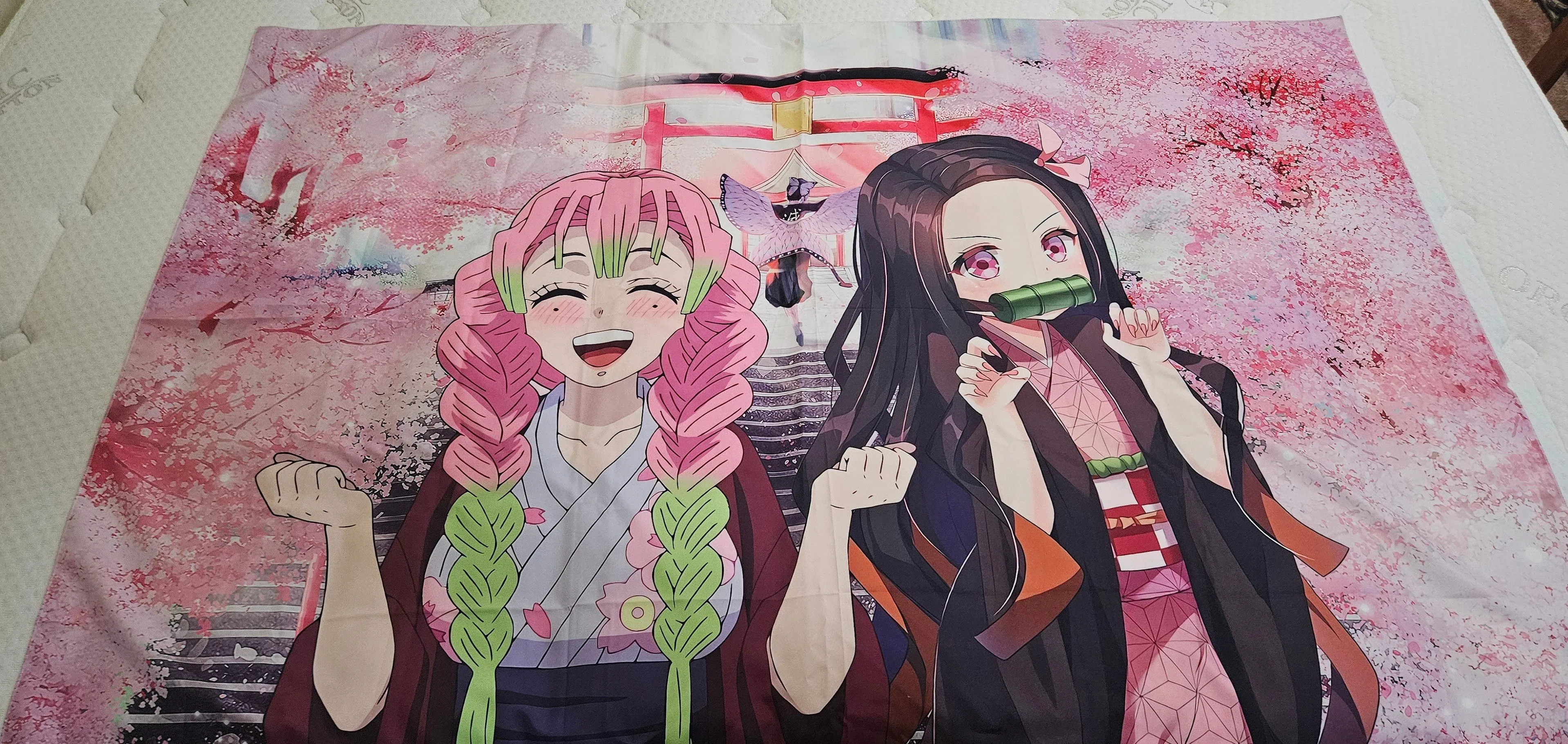 Product image for Mitsuri and Nezuko Cloth Wall Poster