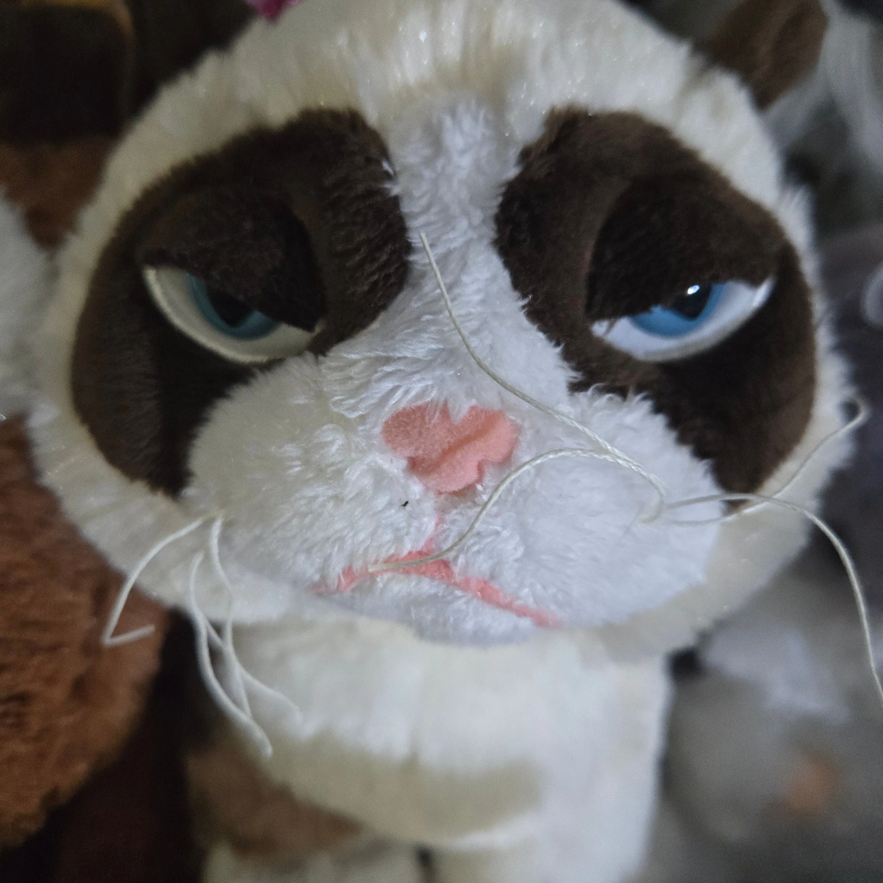 Product image for grumpy cat 