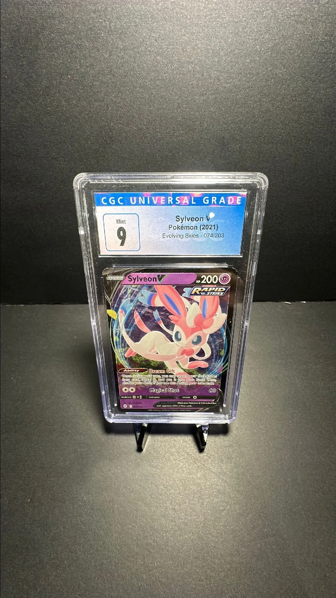511bd923-3d85-4c8a-90bf-9cc654540847