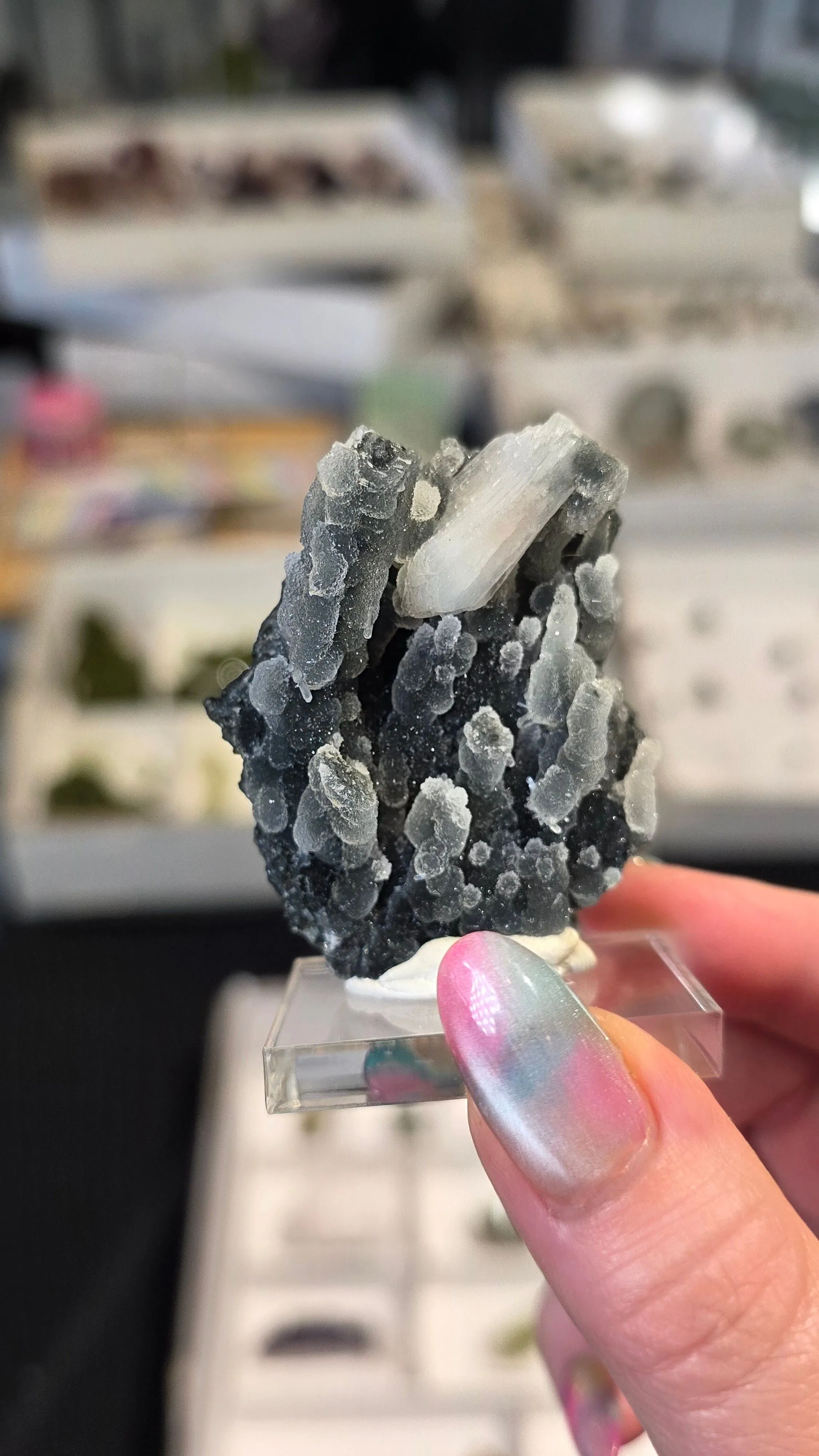 Product image for buckngo - stilbite on chalcedony