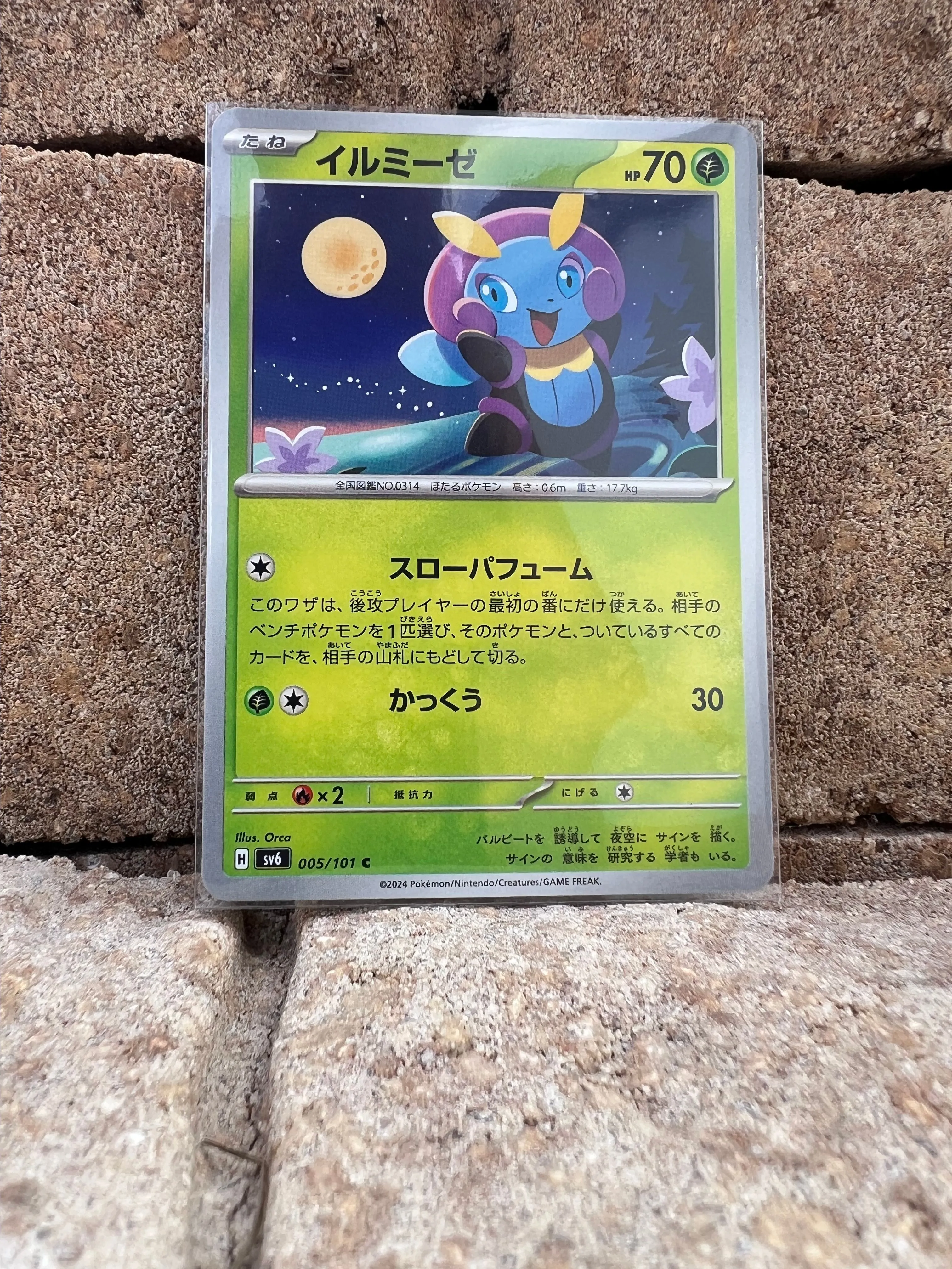 Product image for Illumise