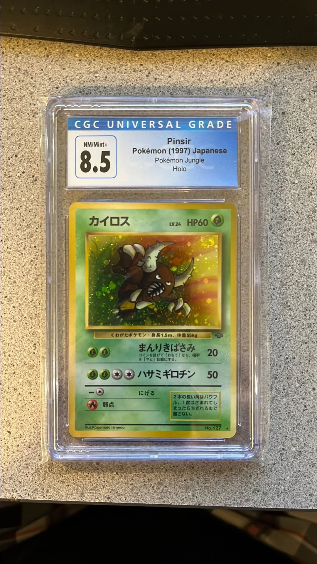 54e9bd67-5c06-4ce1-942a-48a847830517
