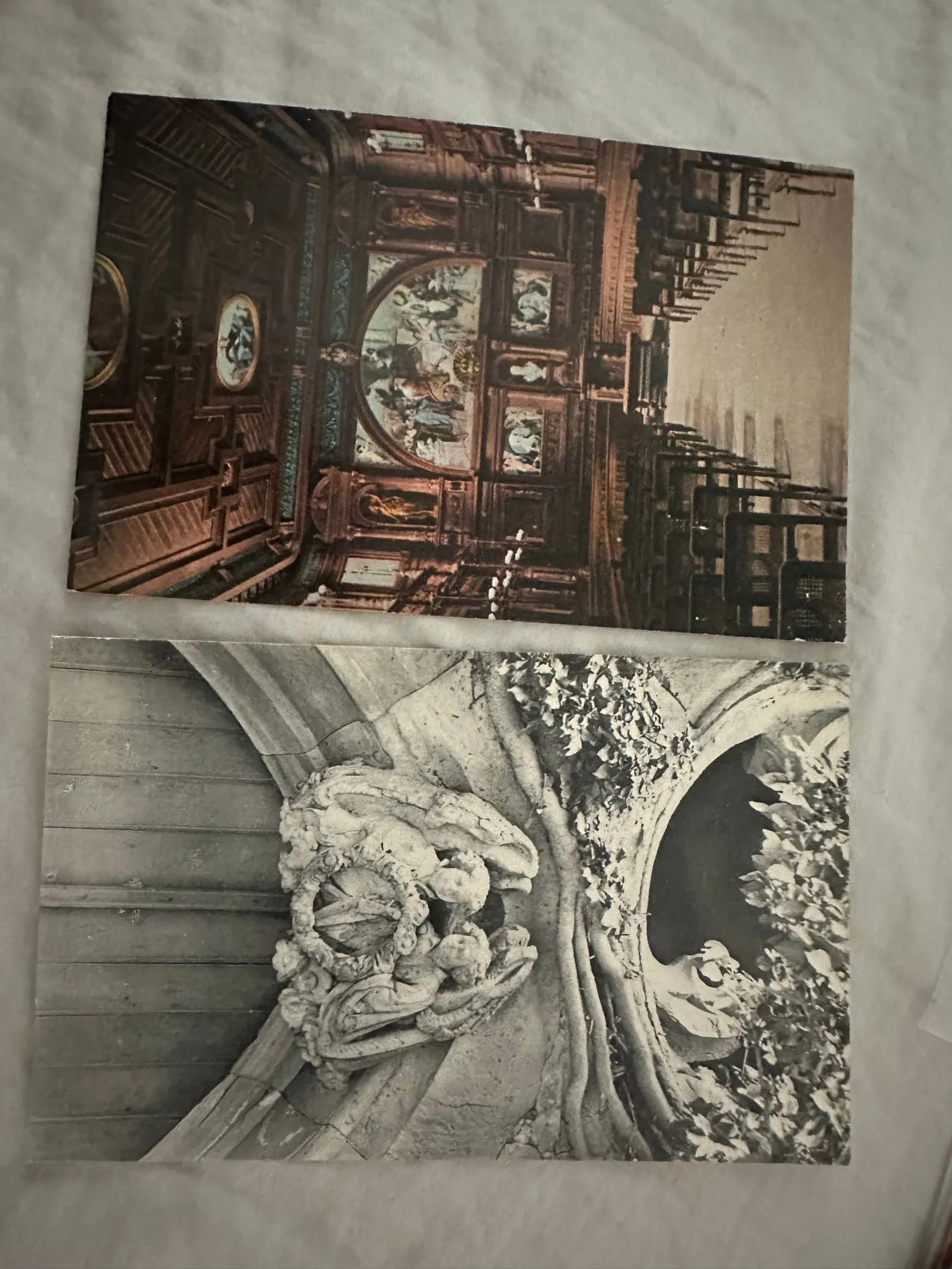 555c7cdb-90eb-49cd-a8e1-5013bdda3081
