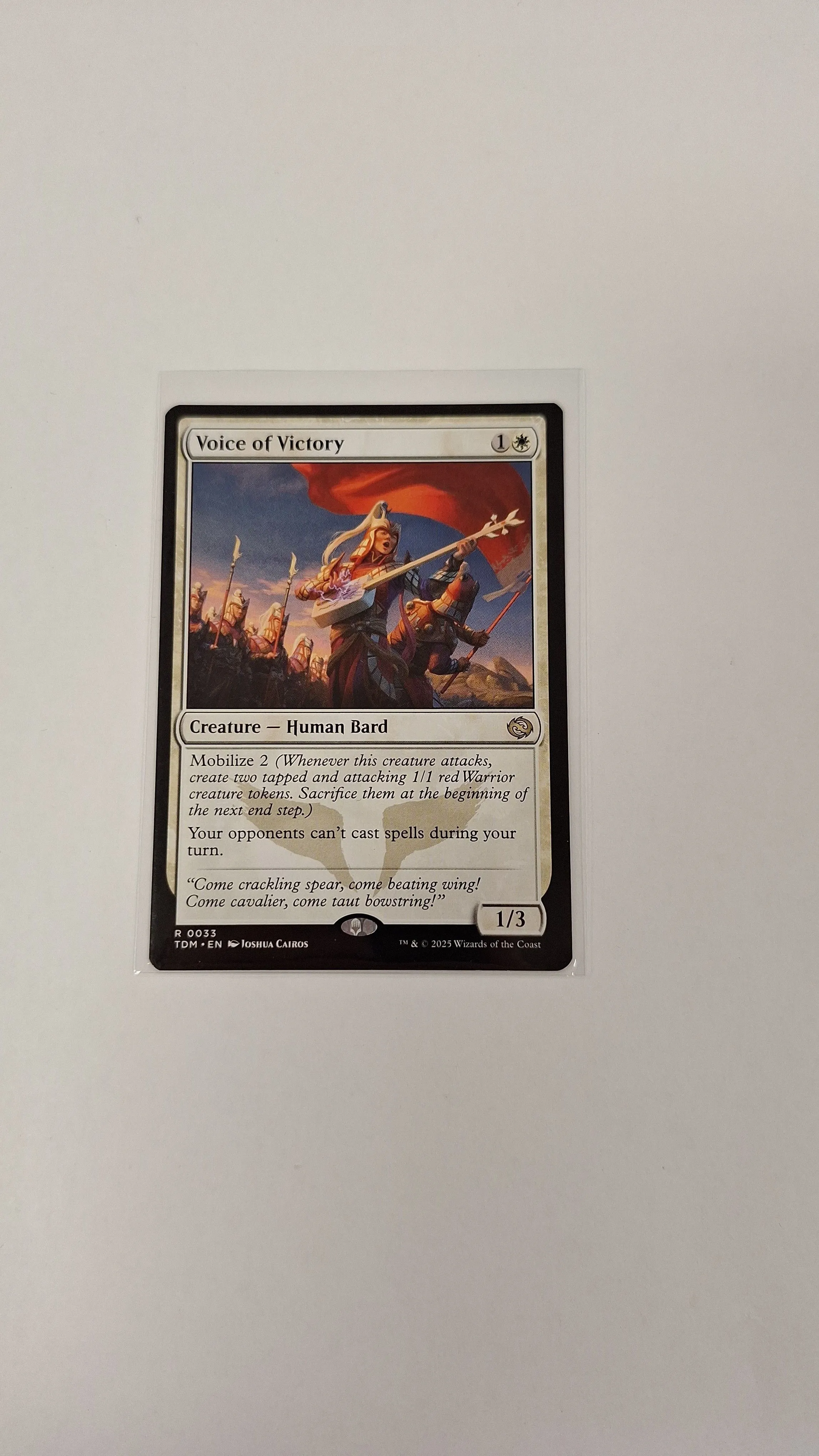 Product image for Voice of Victory