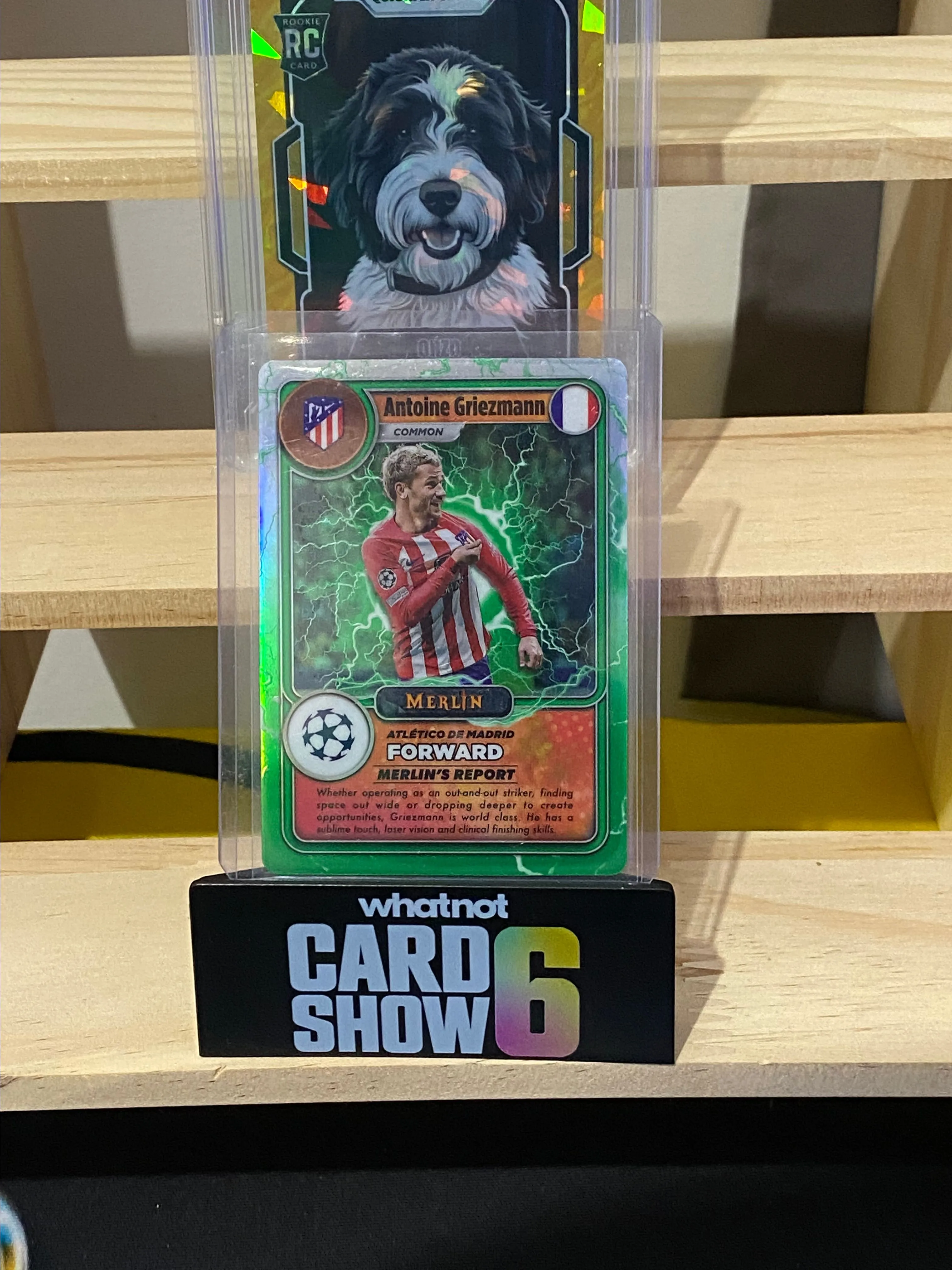 Product image for Antoine Griezman Gamer Card