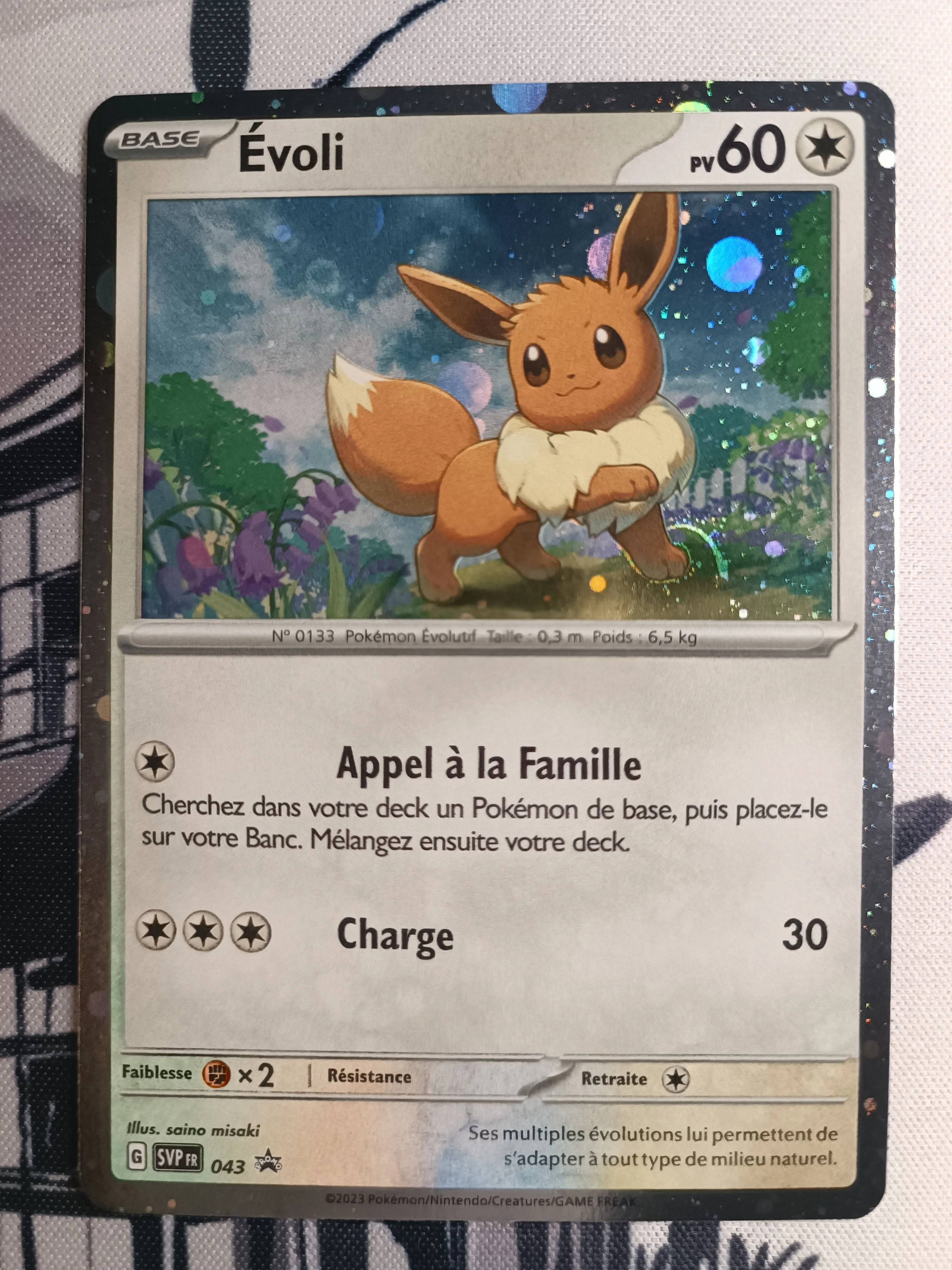 Product image for FR - 59 - Evoli SVP 043