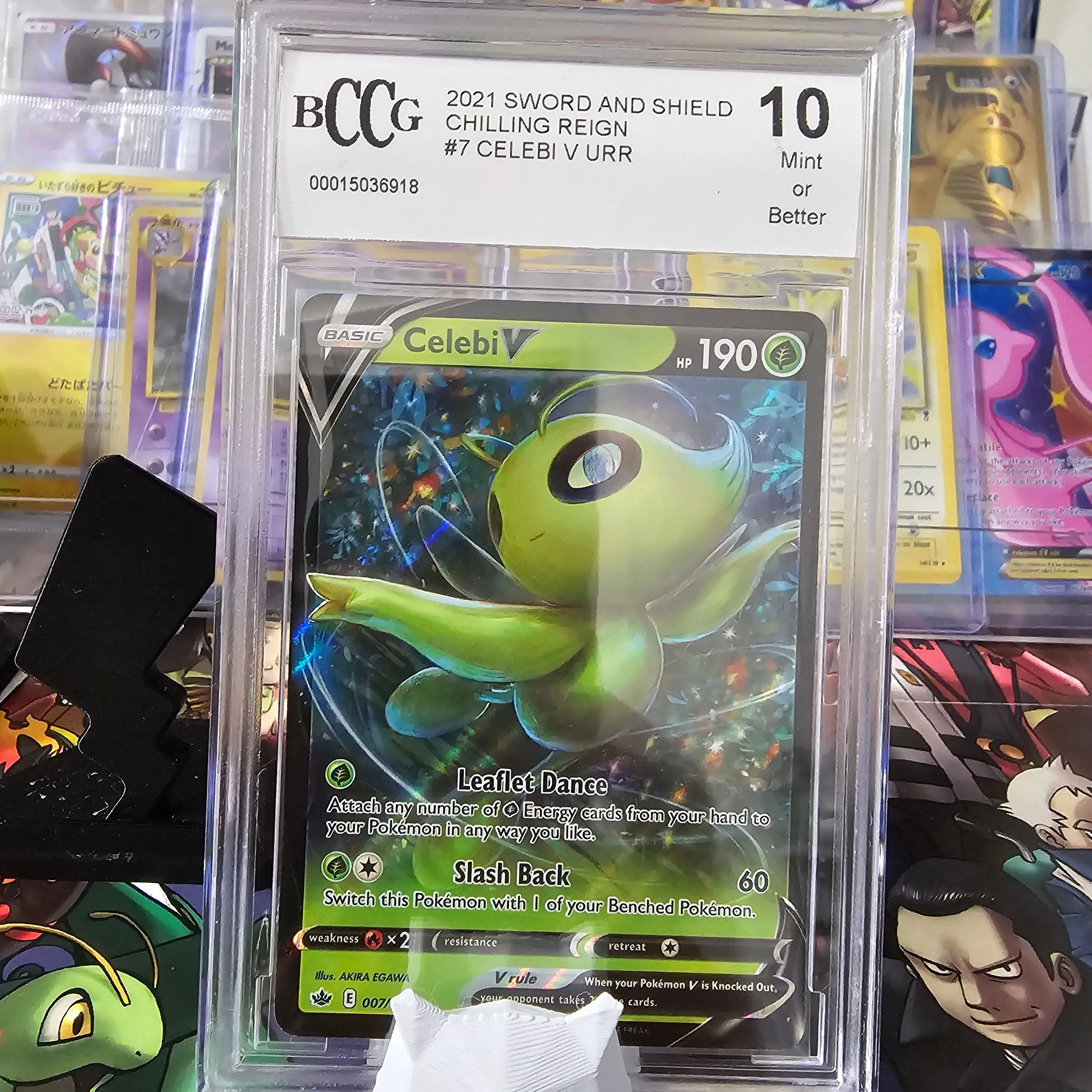 Product image for CELEBI V BCCG 10