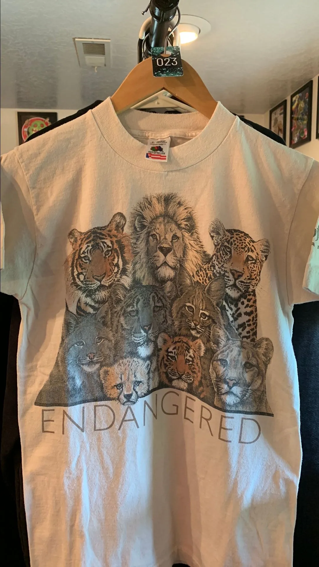 Product image for 09. Endangered Big Cats - Small