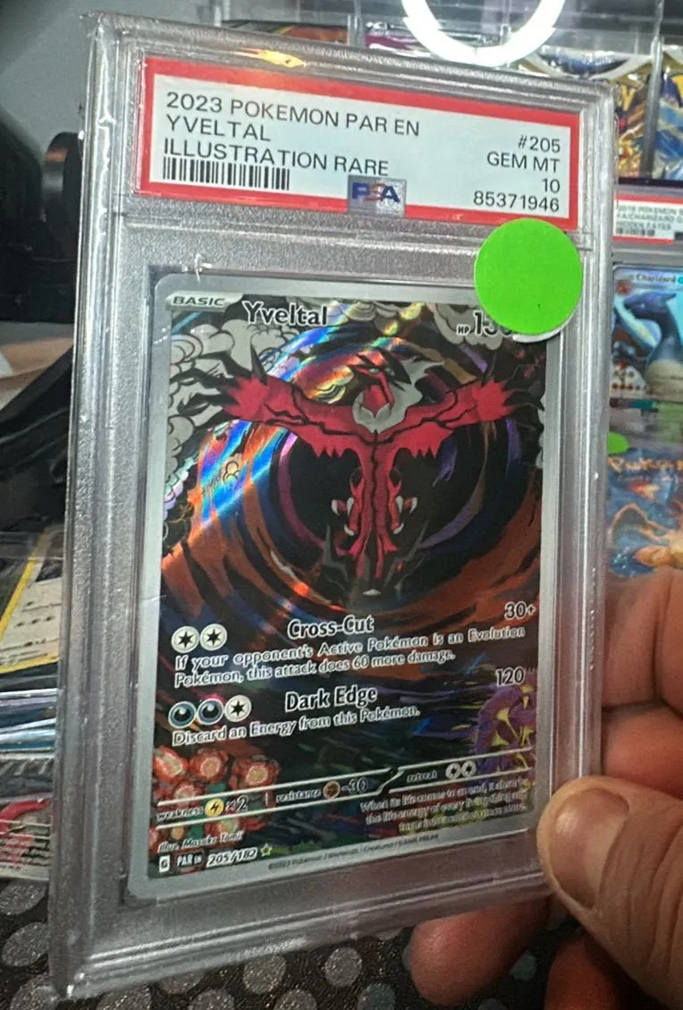 Product image for PSA 10 Yveltal - 205/182 - SV04: Paradox Rift (PAR)