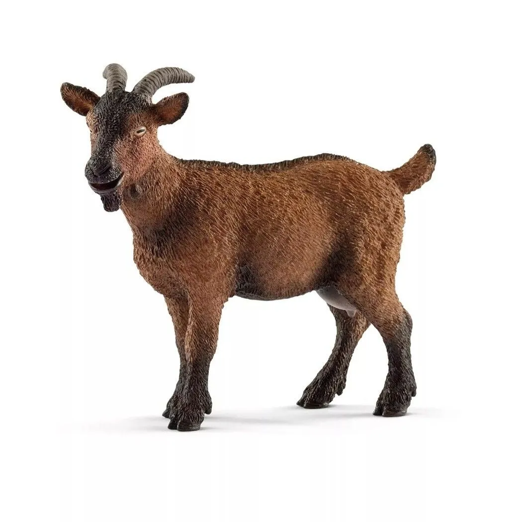 Listing Image Blurred Background