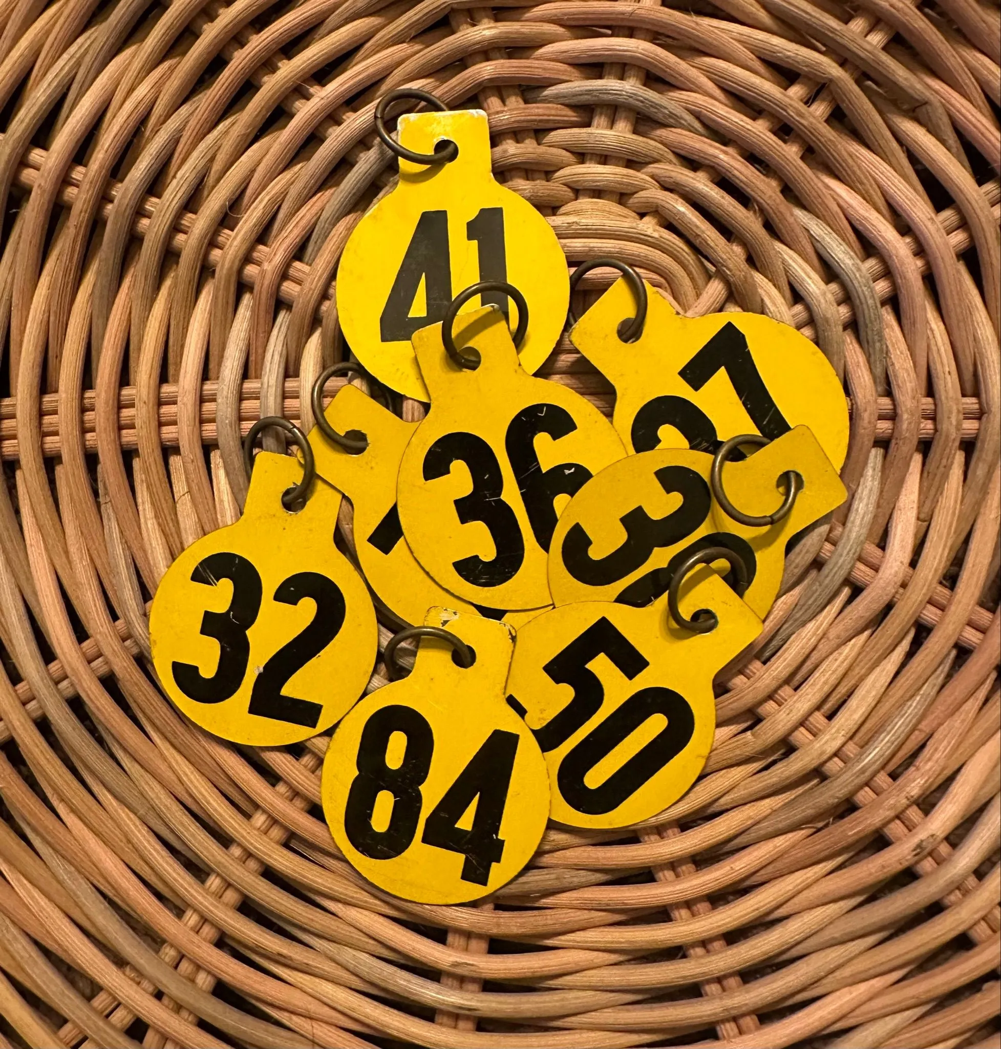 596e2e44-29f0-4f4a-963e-8286cfa63472