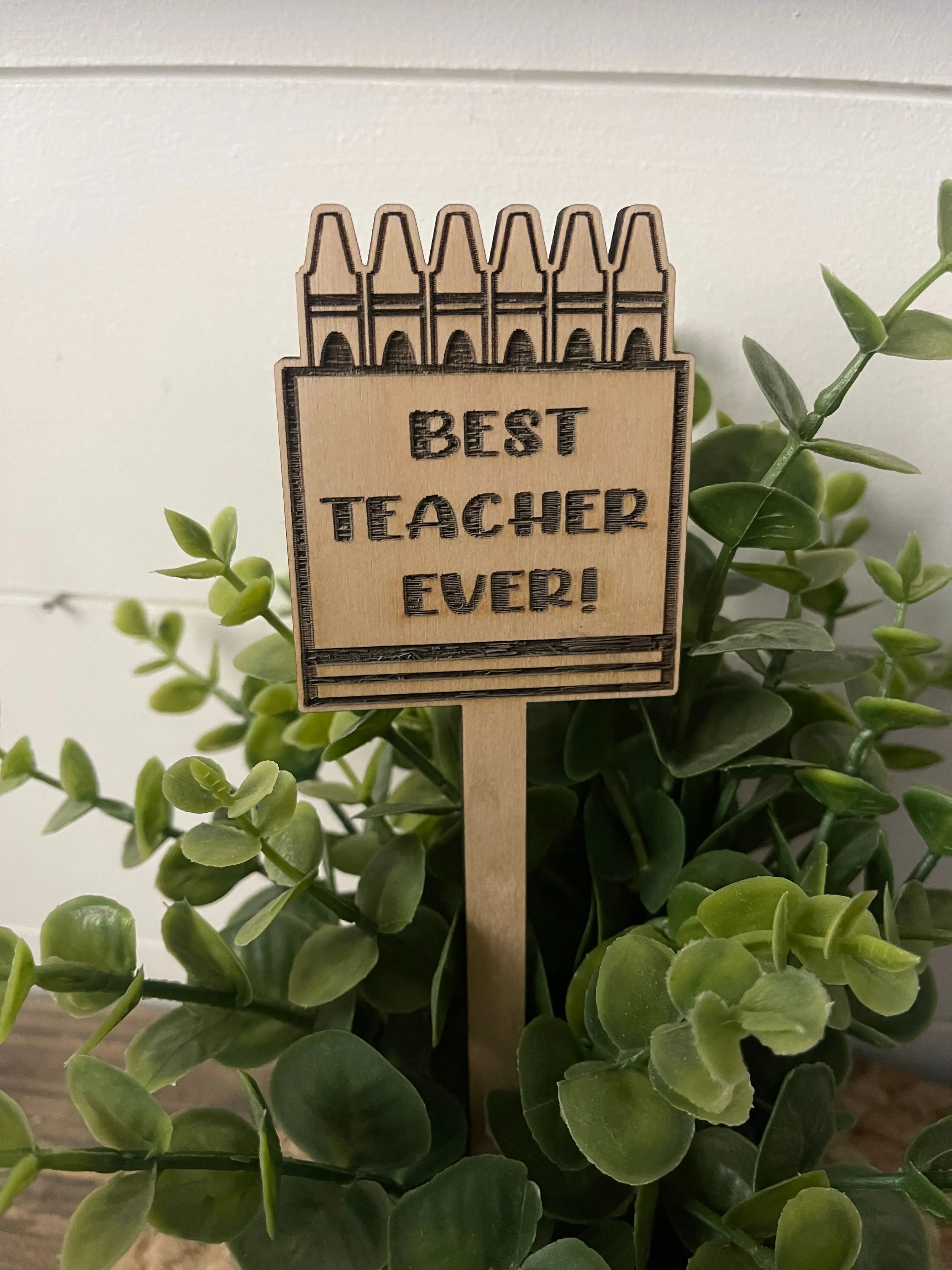 Product image for Best teacher ever plant stake