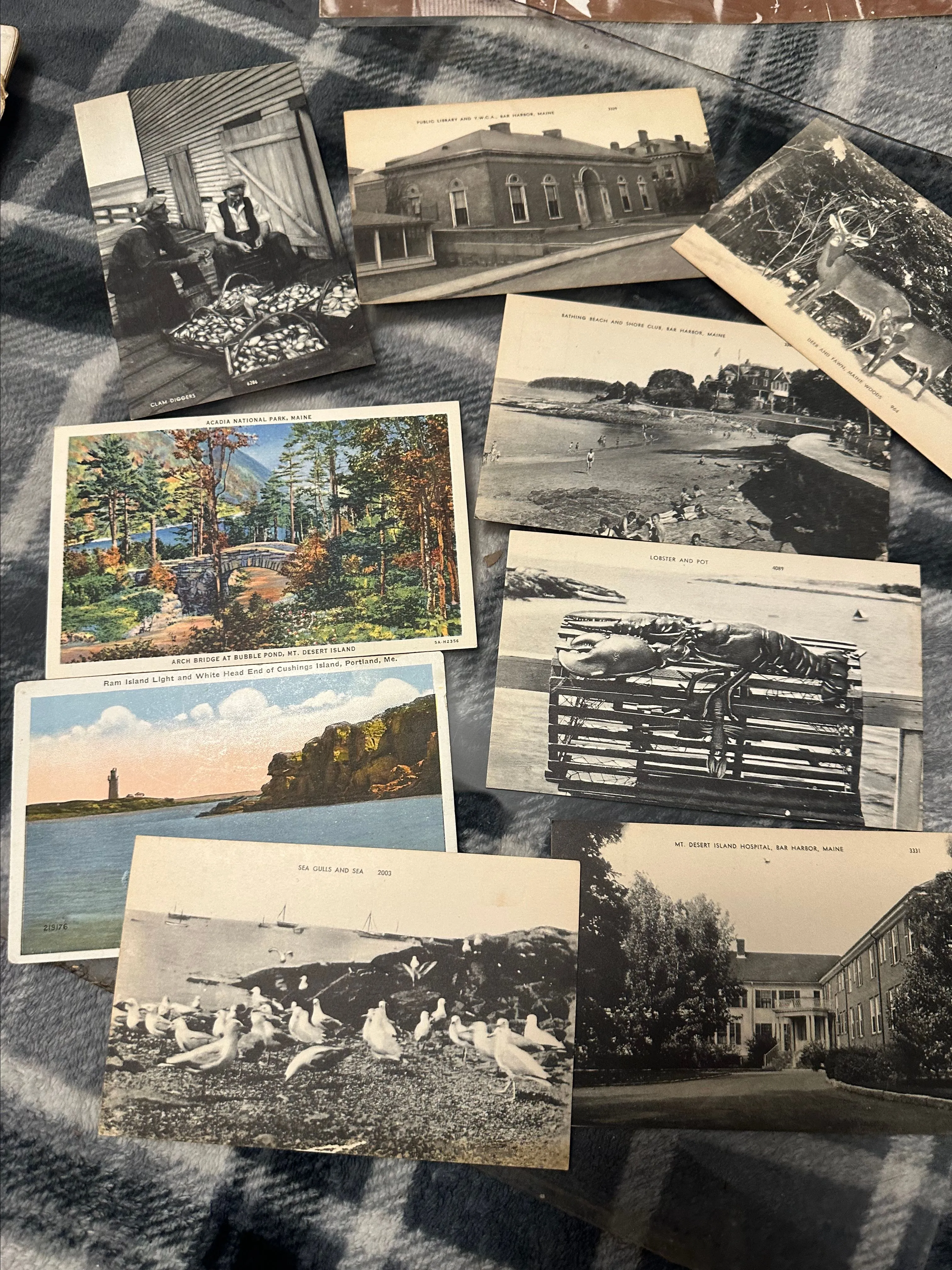 Product image for SET OF 3 - Maine Postcards - no dupes!