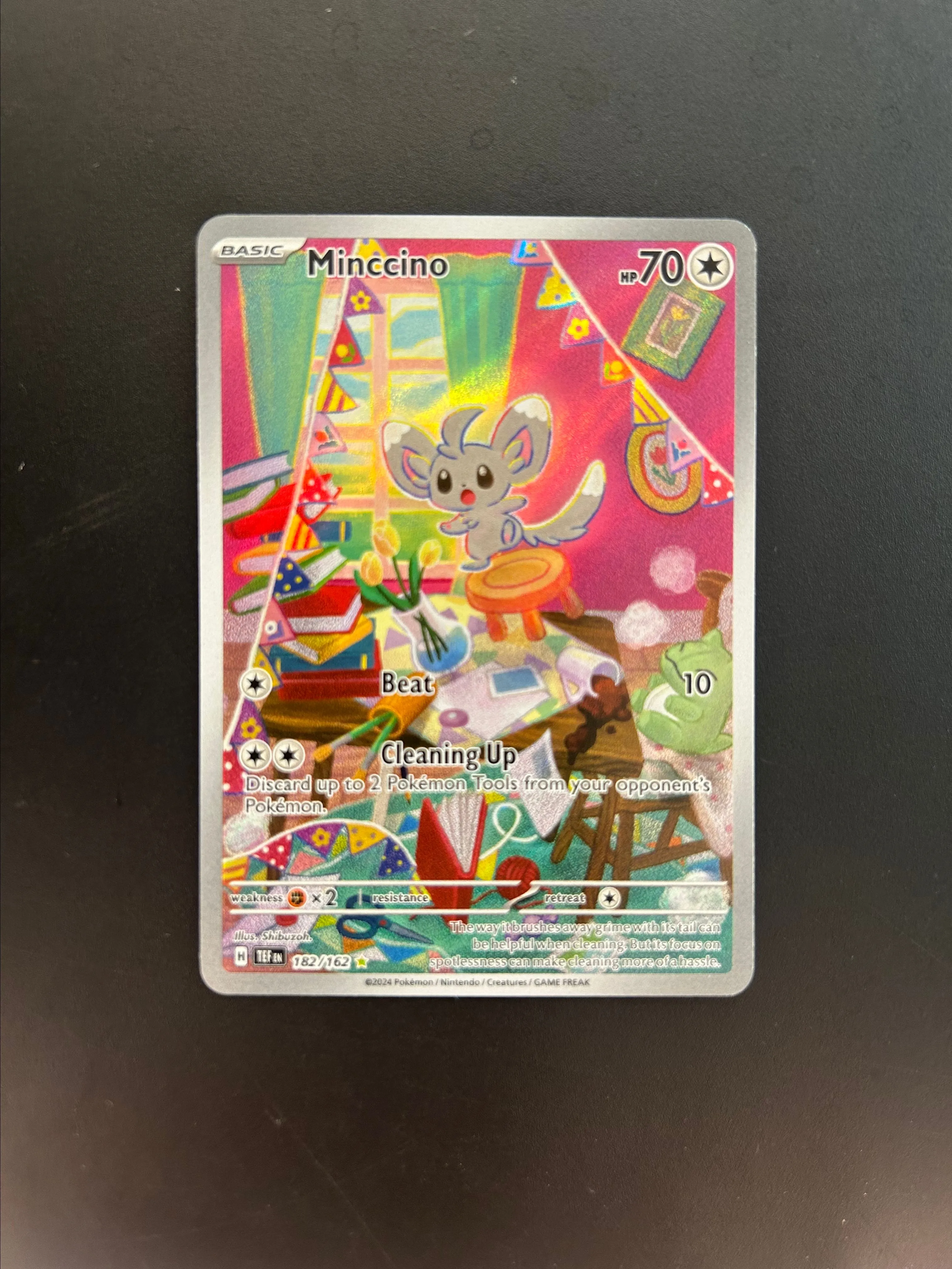 Product image for Minccino