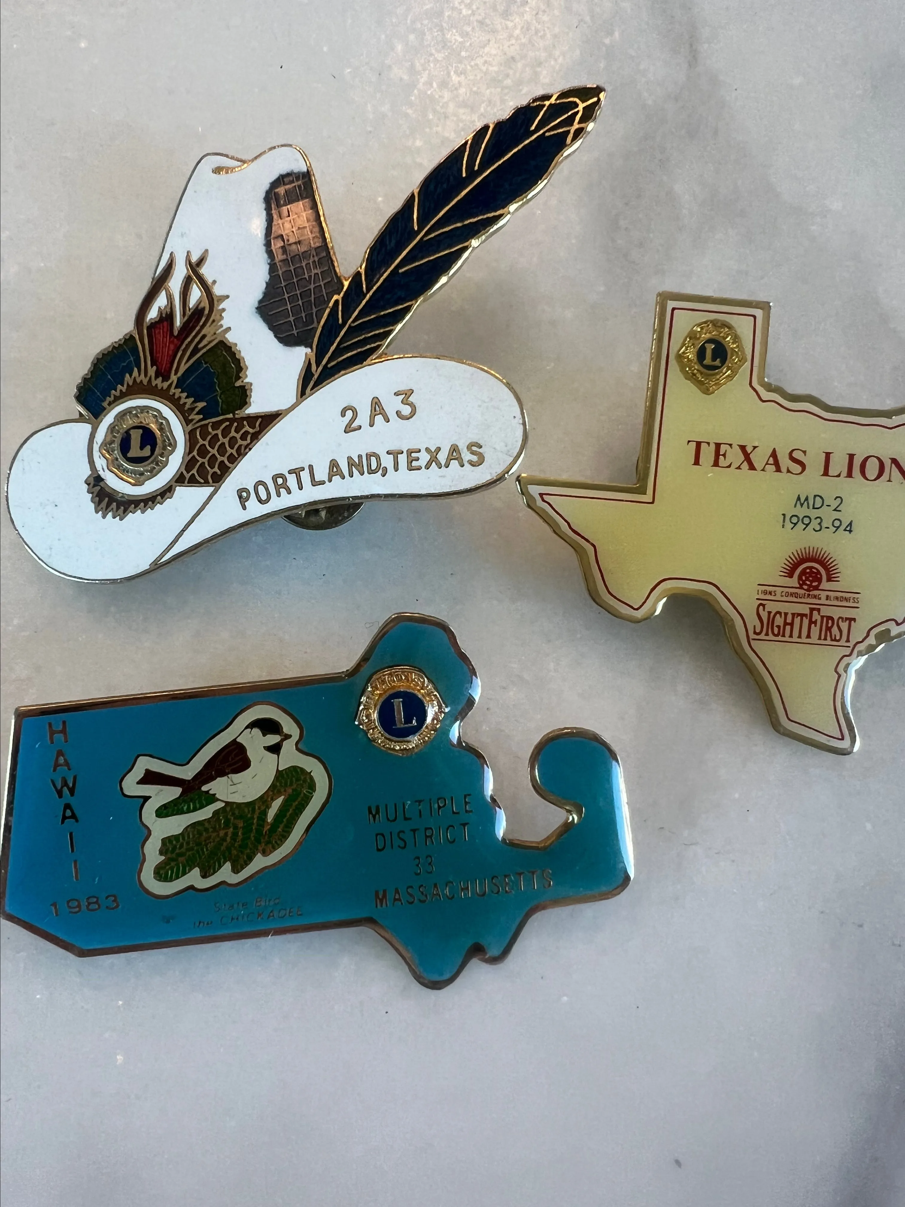 Product image for Enamel Lions Club pins