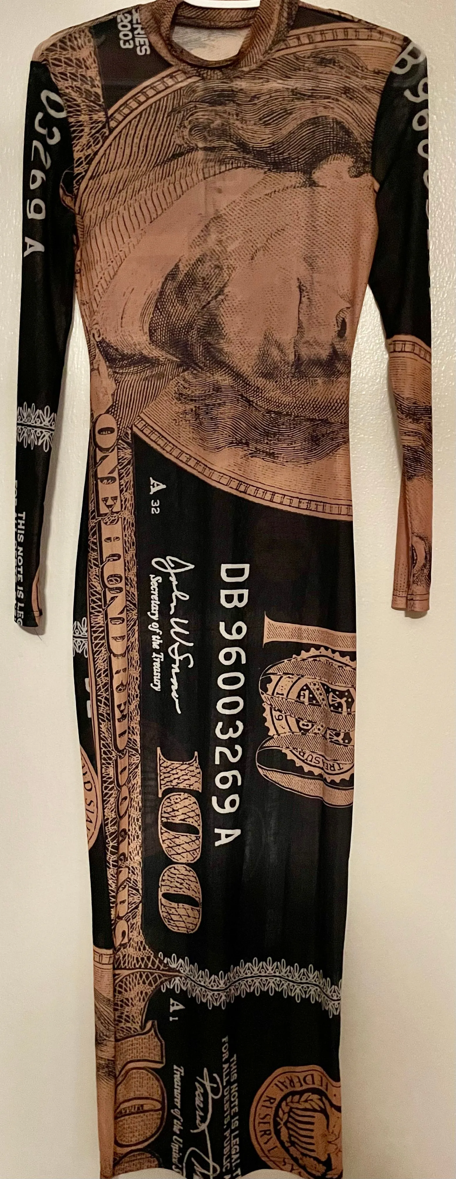 Product image for Hundred Dollar sheer Dress