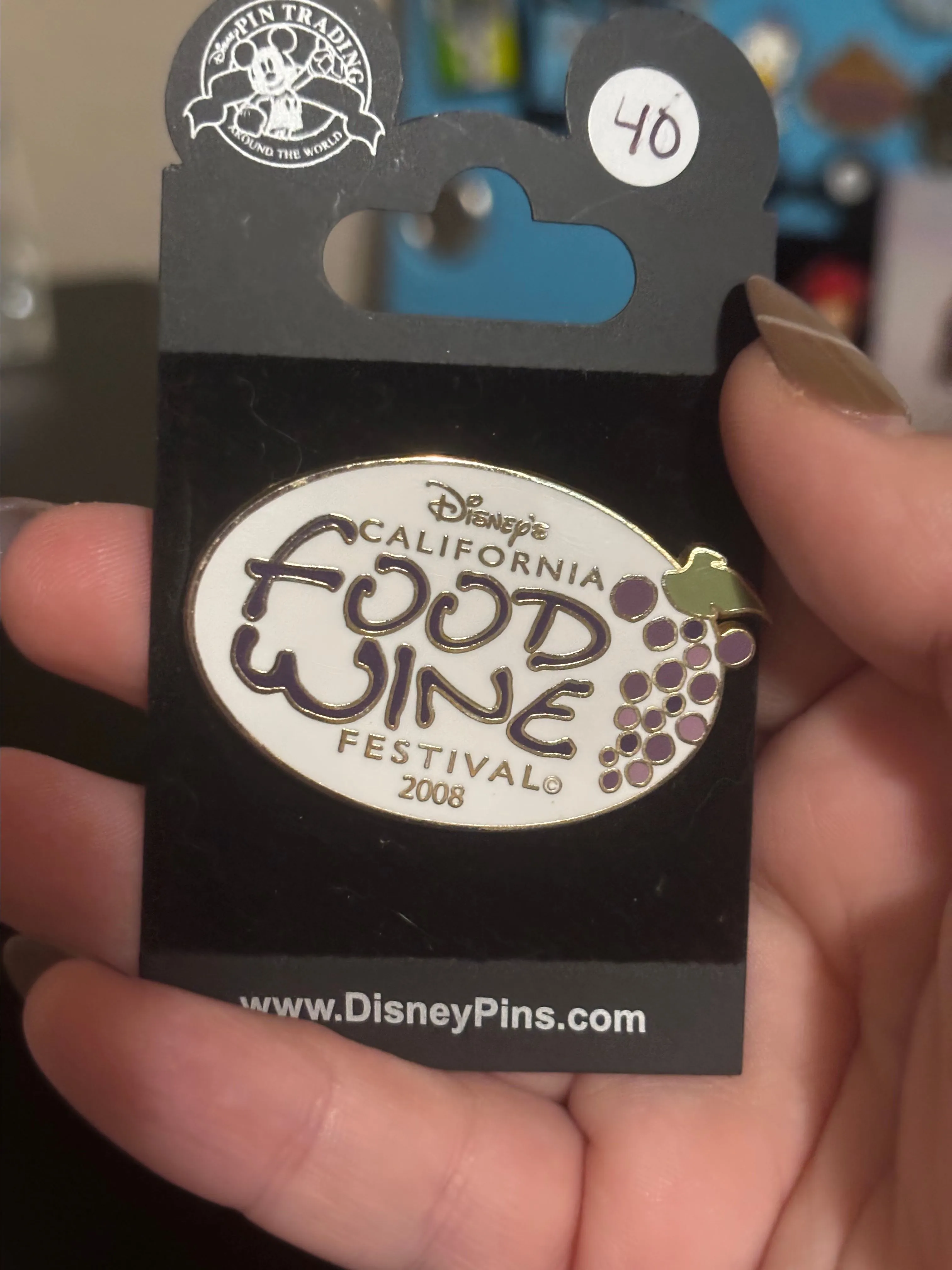 Product image for 2008 Food & Wine Festival Pin