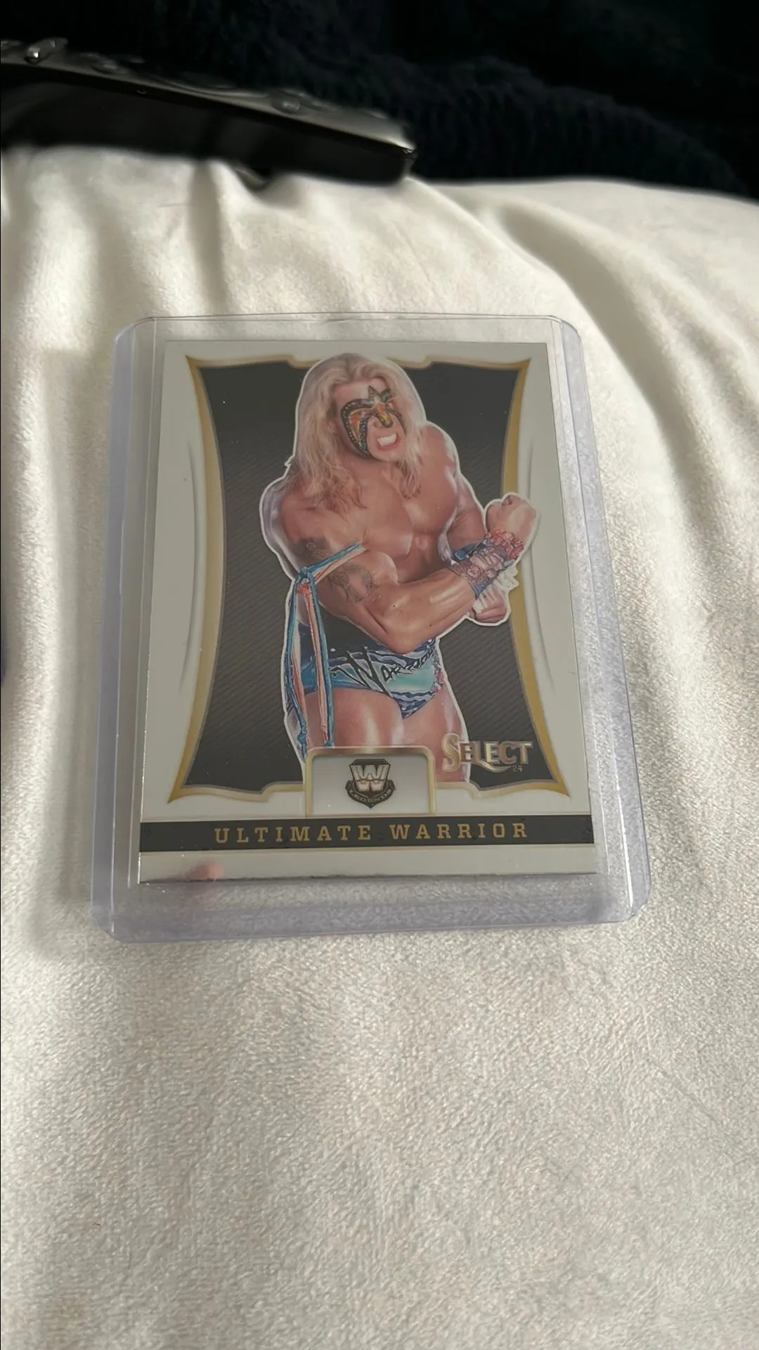Product image for Ultimate Warrior Throwback Insert